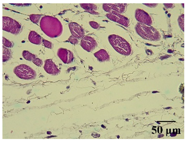 Molecules 29 04964 i002