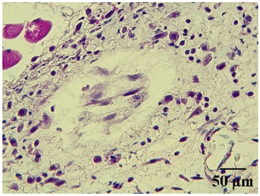 Molecules 29 04964 i004