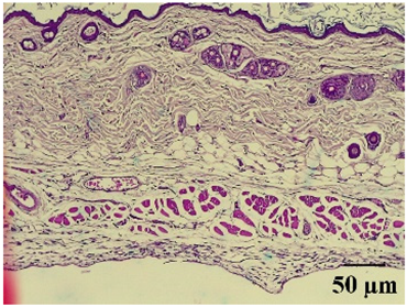 Molecules 29 04964 i007