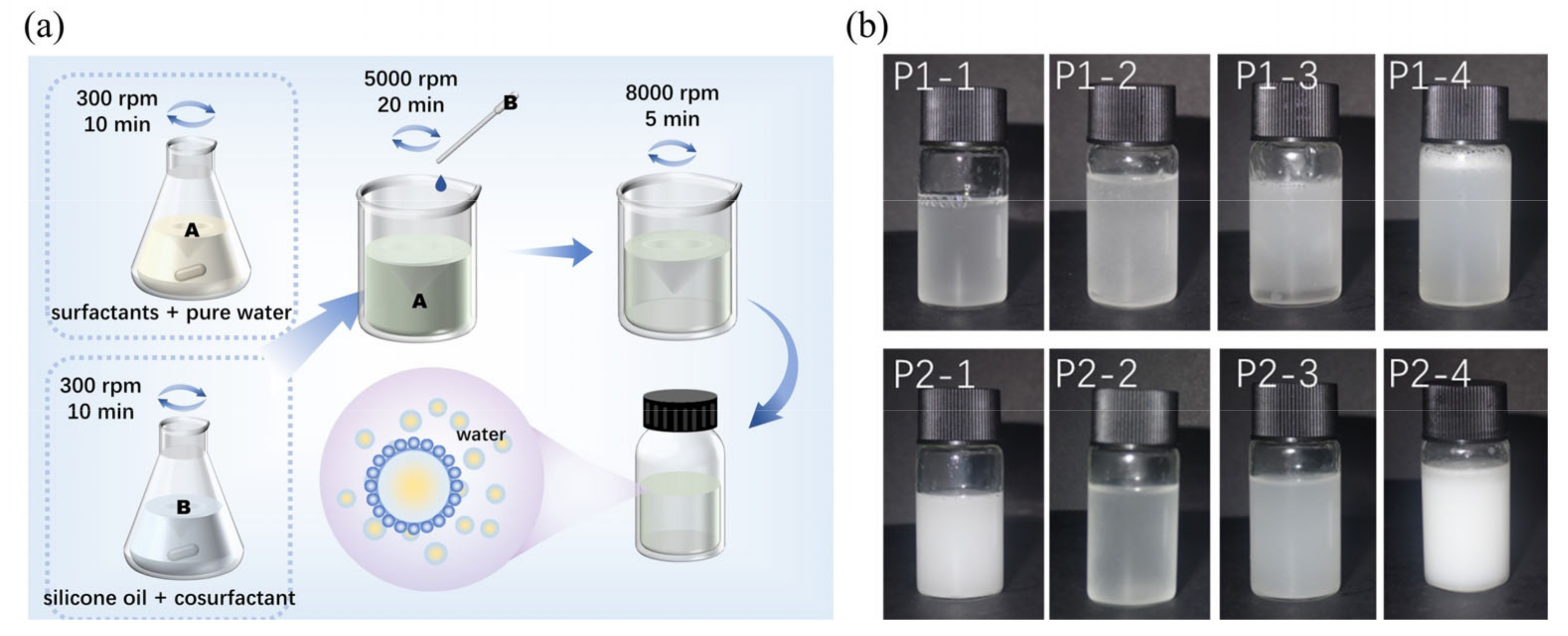 Molecules 29 04971 g001