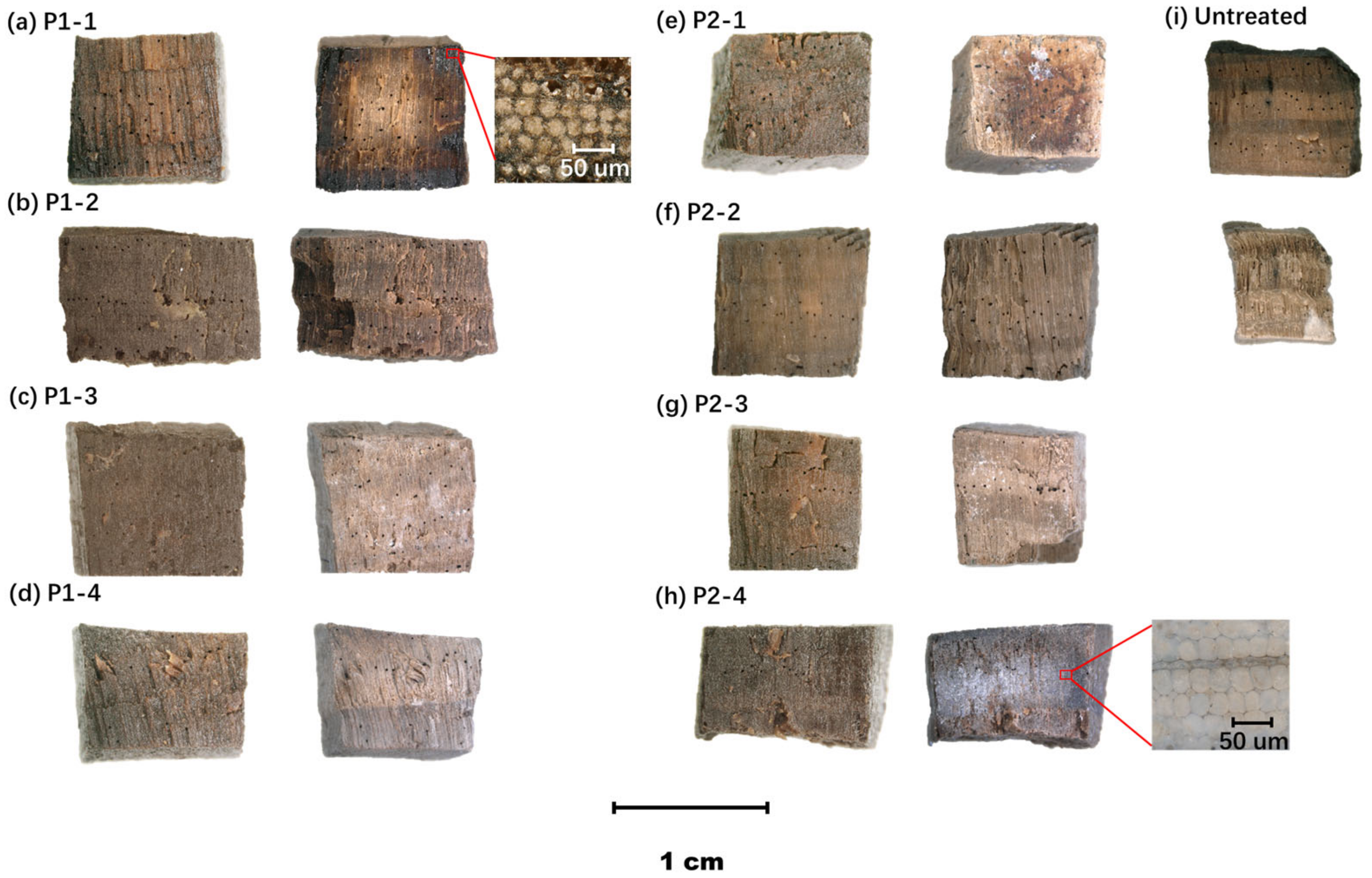 Molecules 29 04971 g003