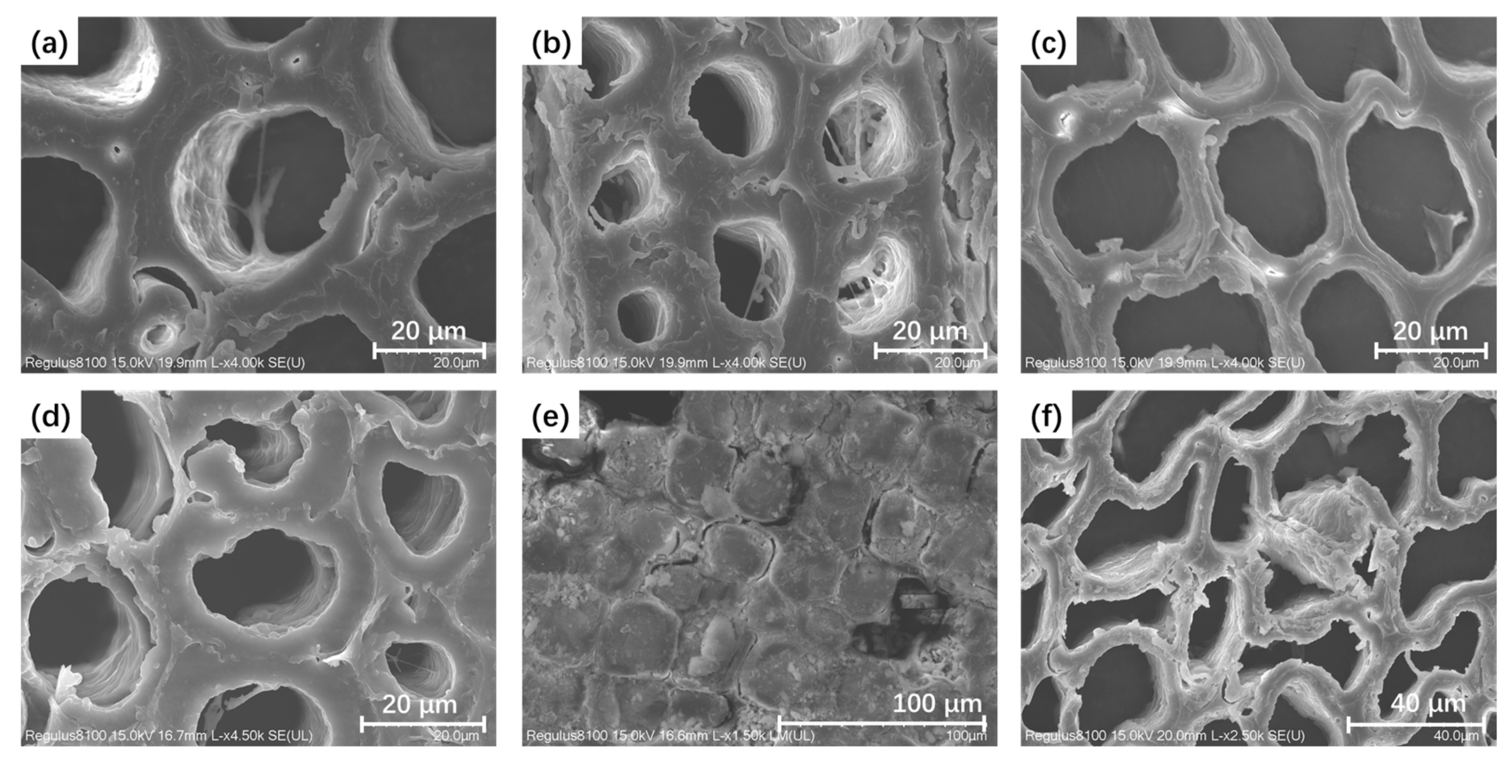 Molecules 29 04971 g006