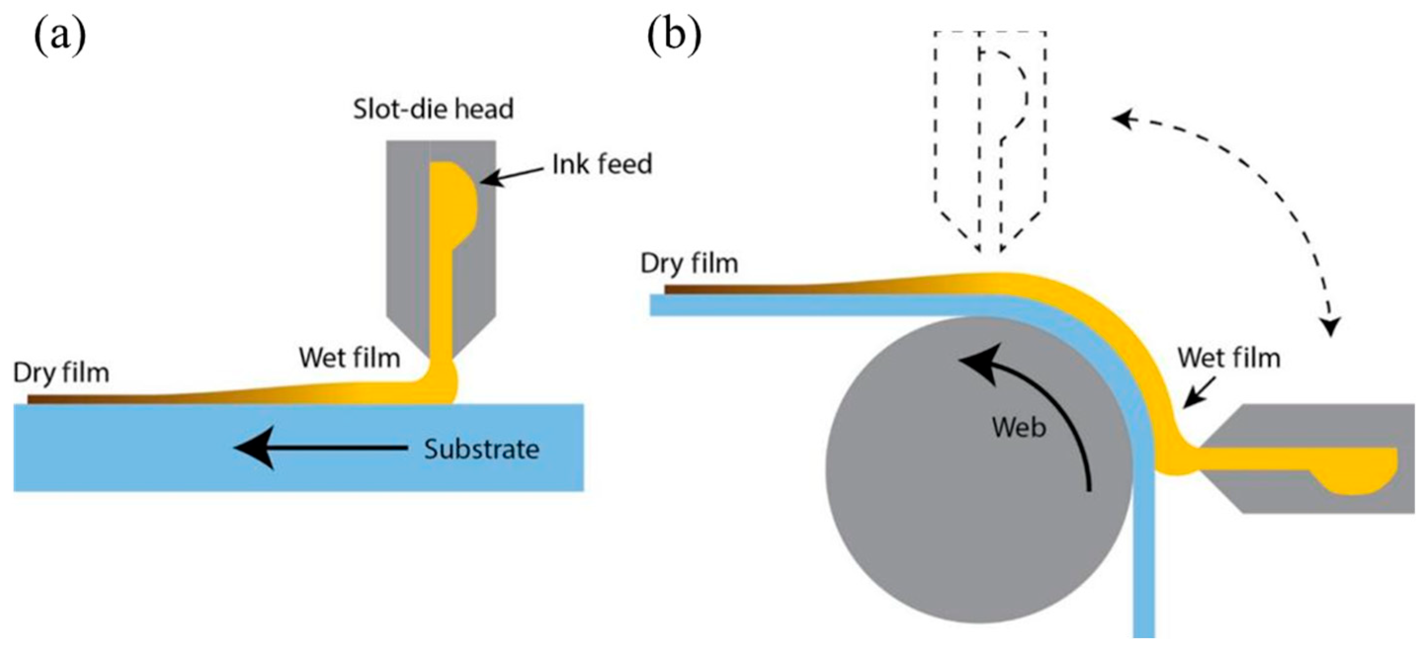 Molecules 29 04976 g003
