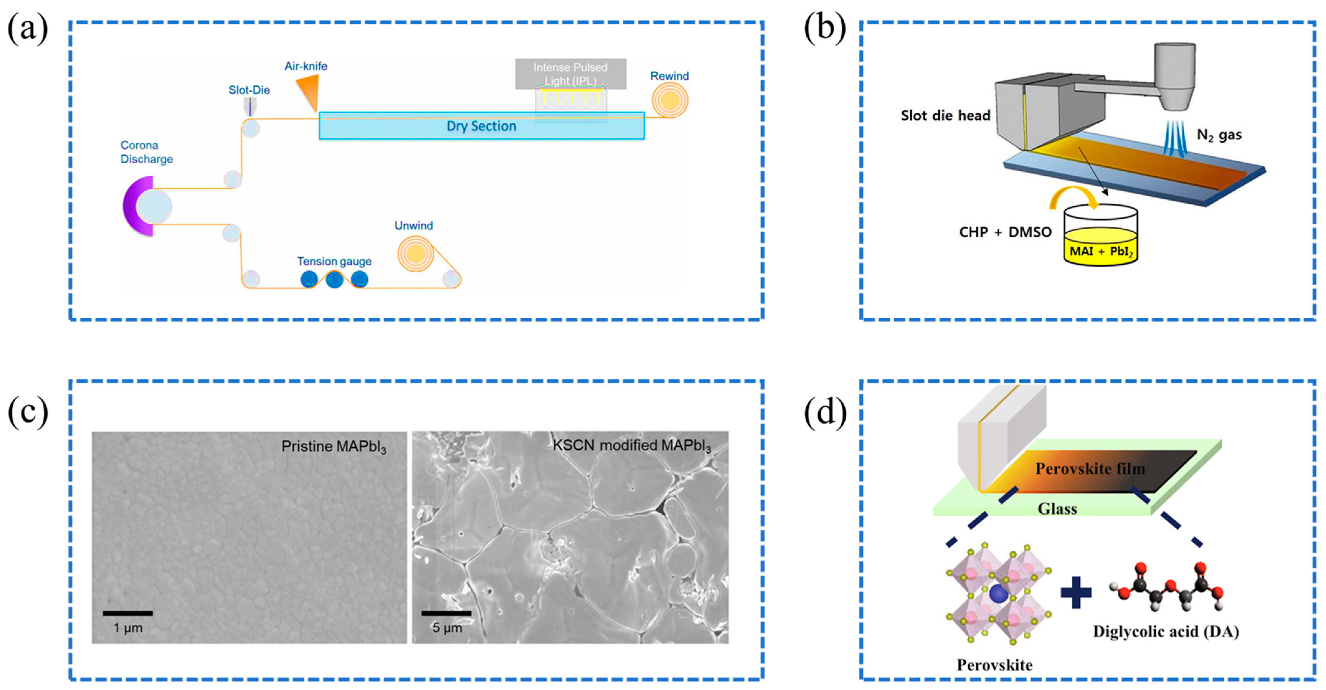 Molecules 29 04976 g006