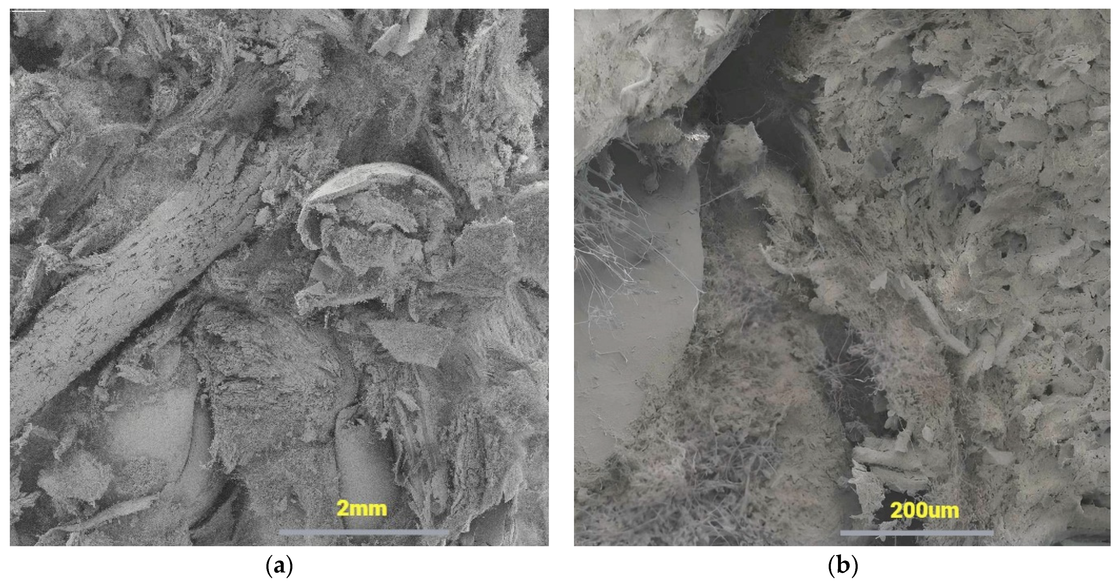 Molecules 29 04983 g002
