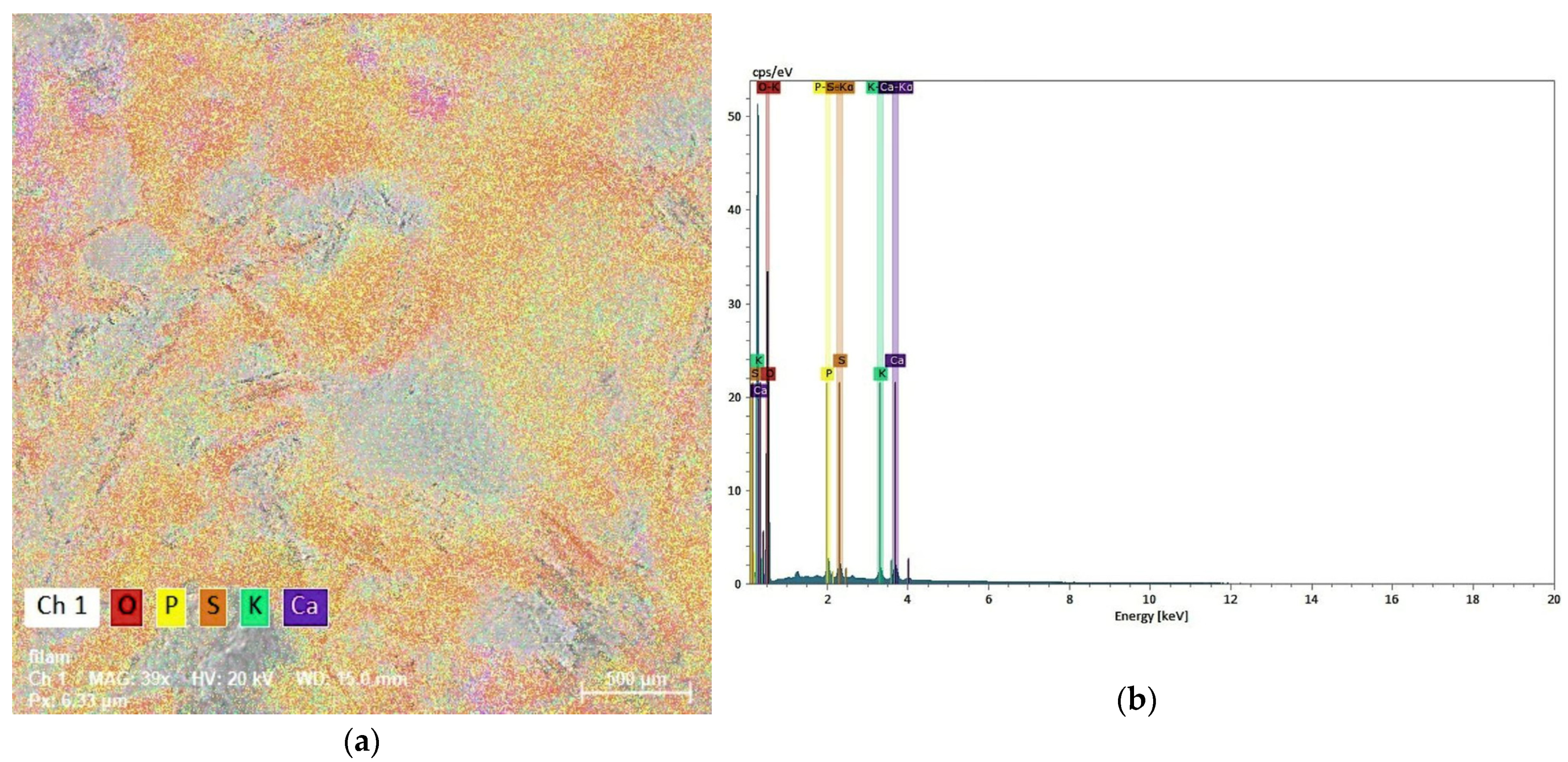 Molecules 29 04983 g003
