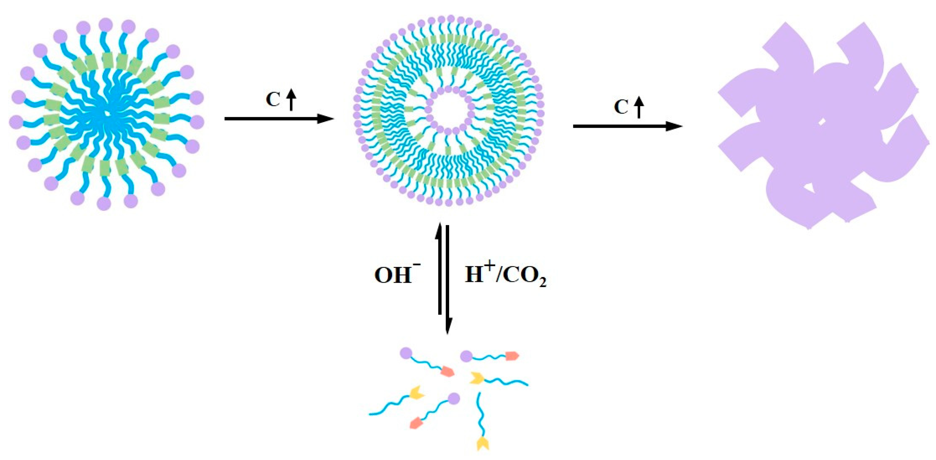 Molecules 29 04984 sch002