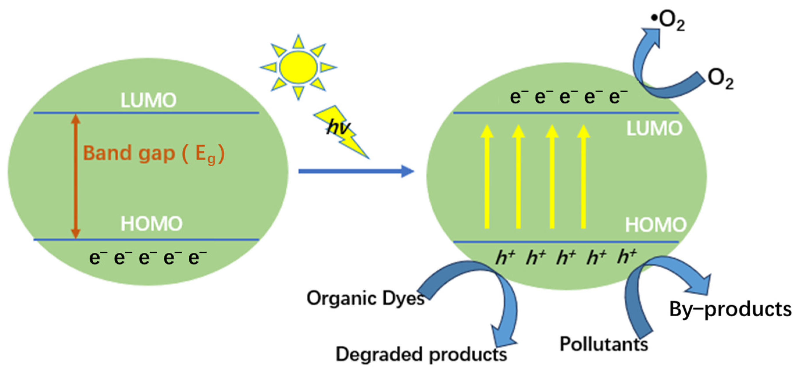 Molecules 29 04989 g010