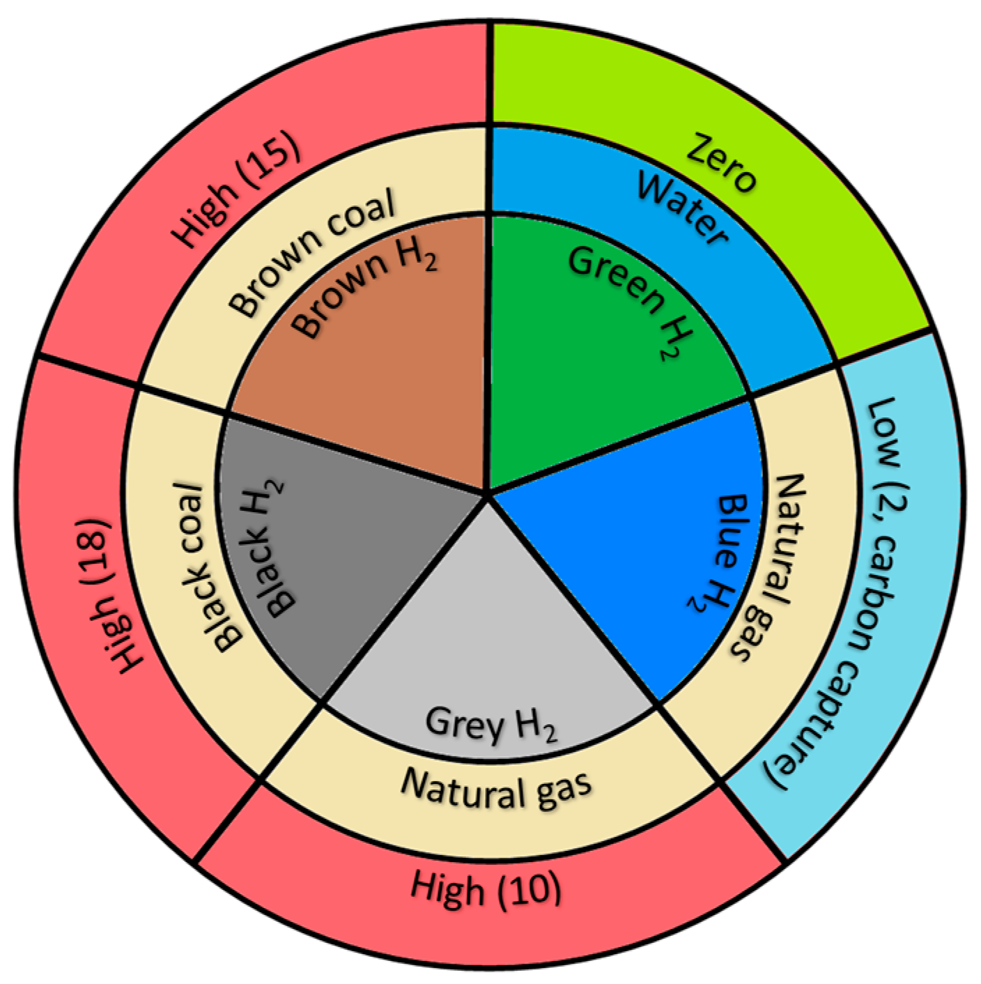 Molecules 29 04990 g001