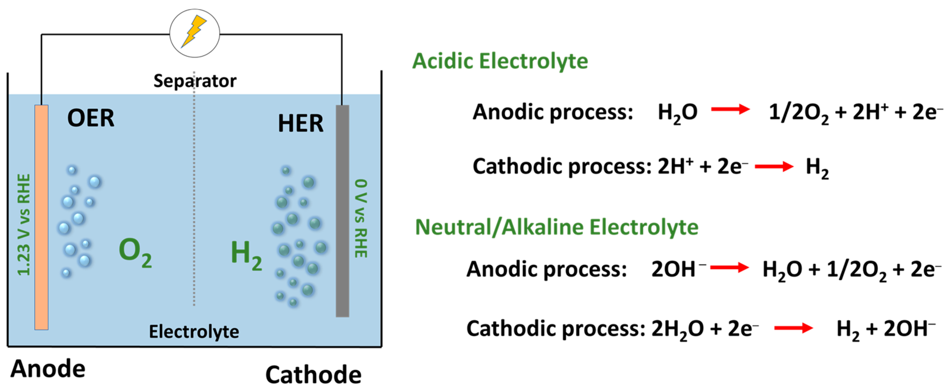 Molecules 29 04990 g002