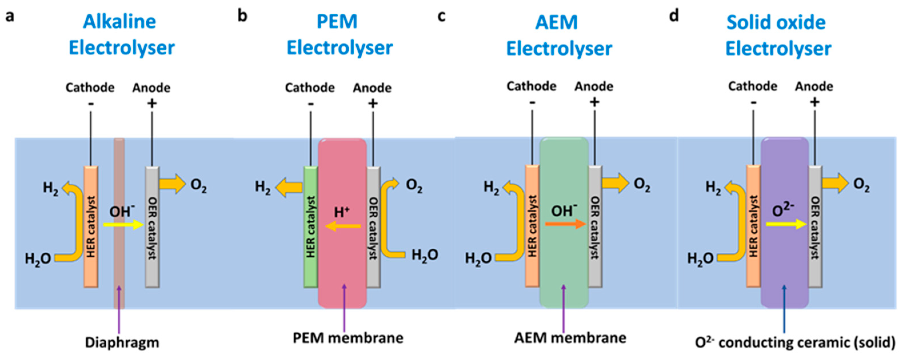 Molecules 29 04990 g003