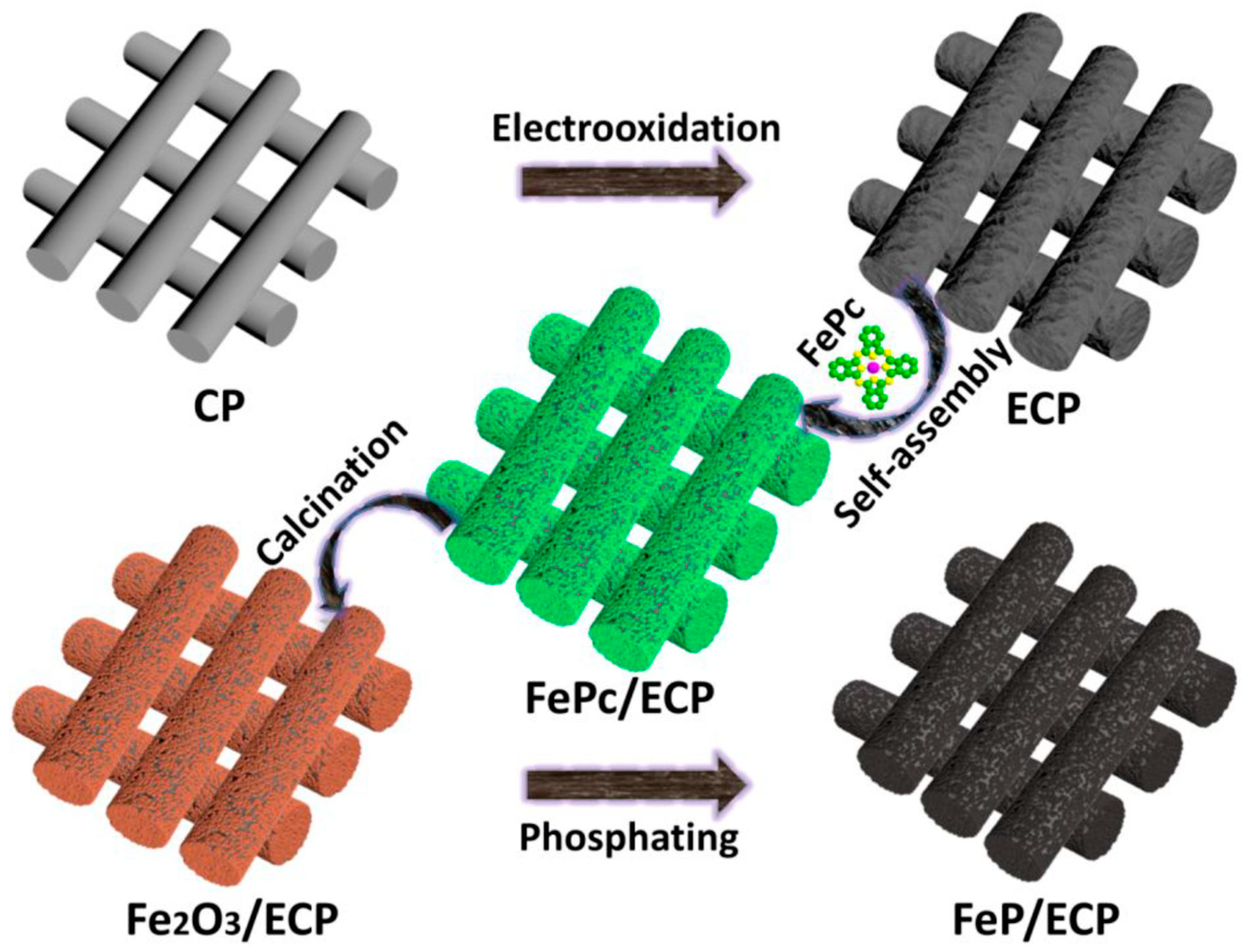Molecules 29 04990 g006