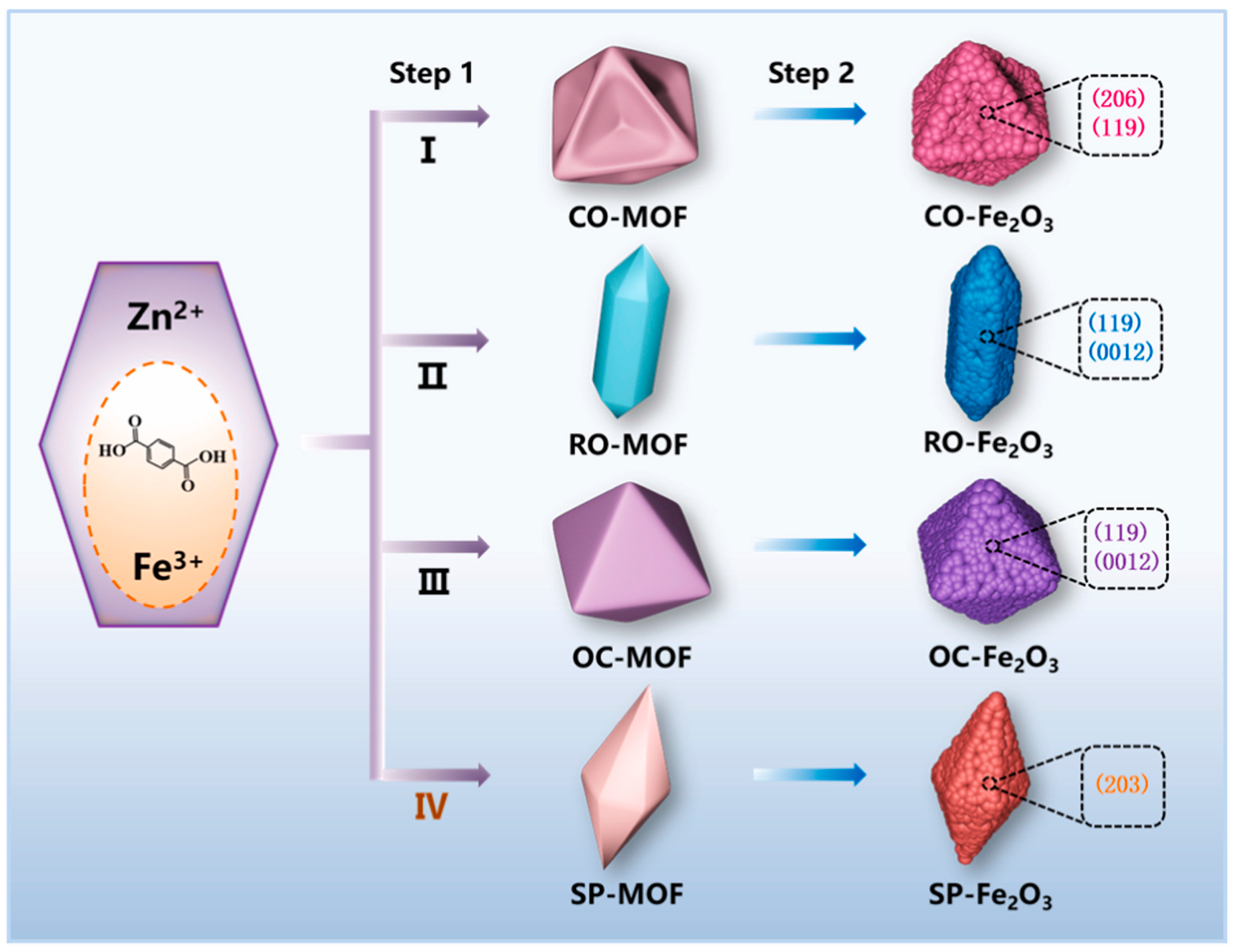 Molecules 29 04990 g008