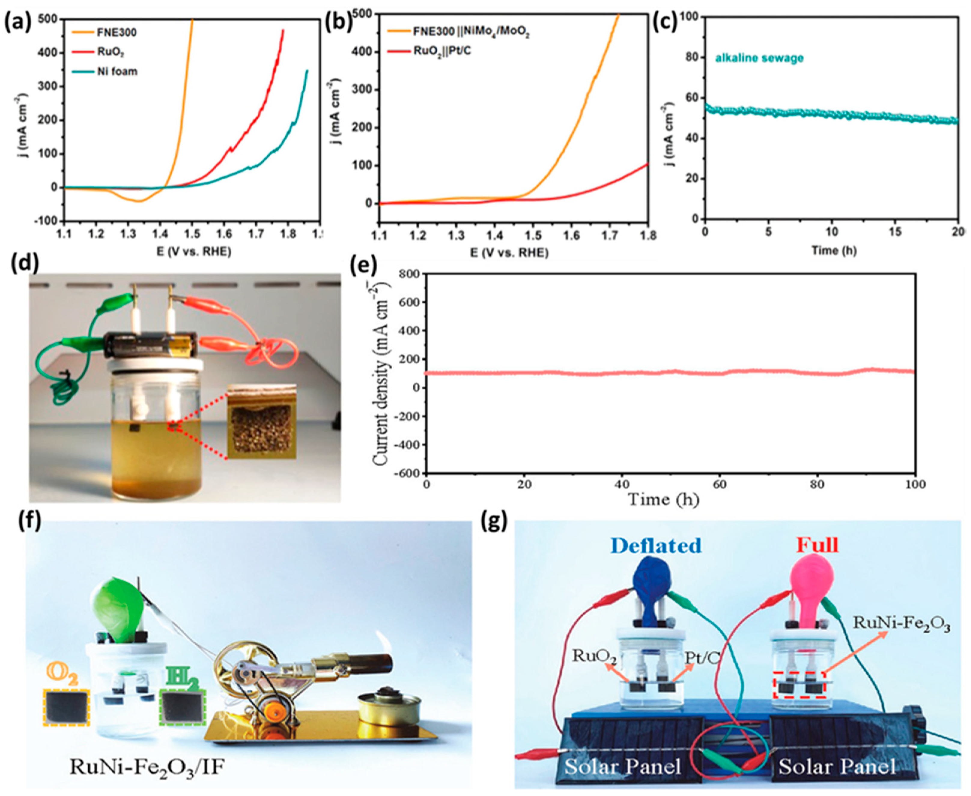 Molecules 29 04990 g010