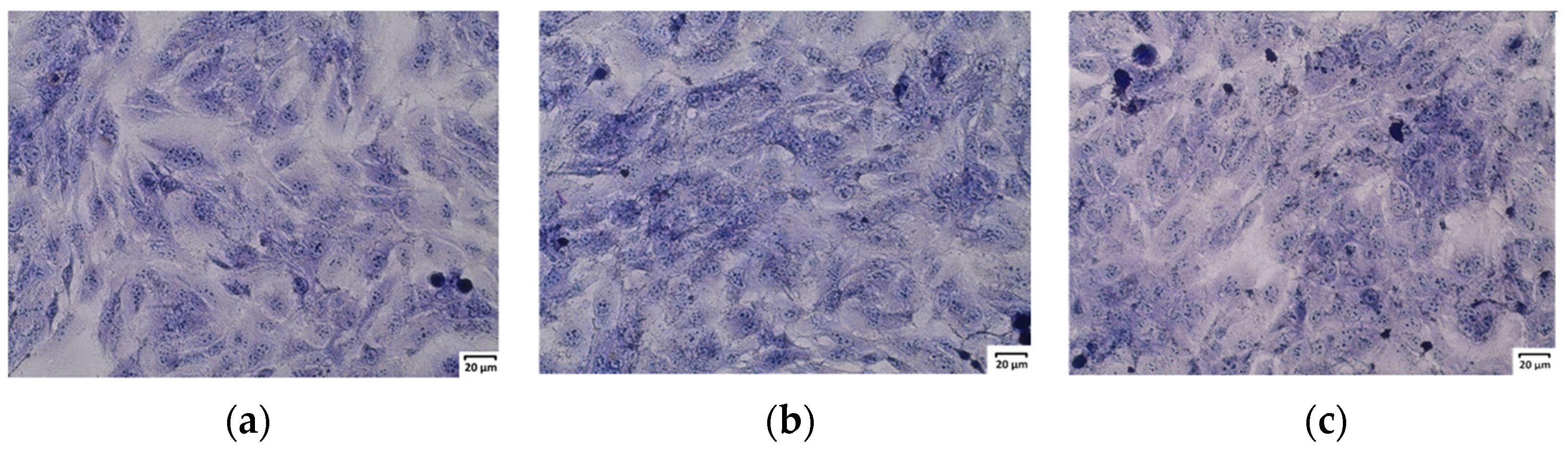 Molecules 29 05000 g003