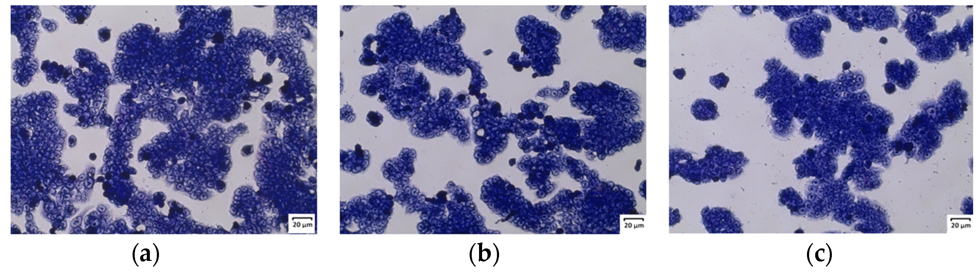 Molecules 29 05000 g008
