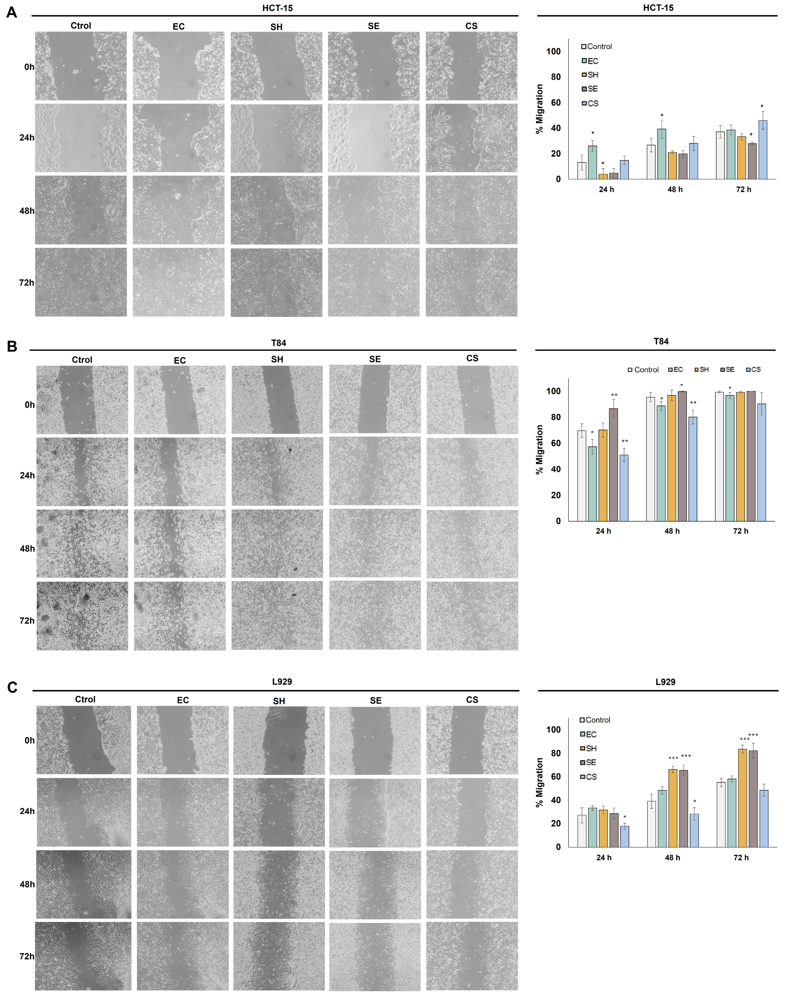 Molecules 29 05003 g003