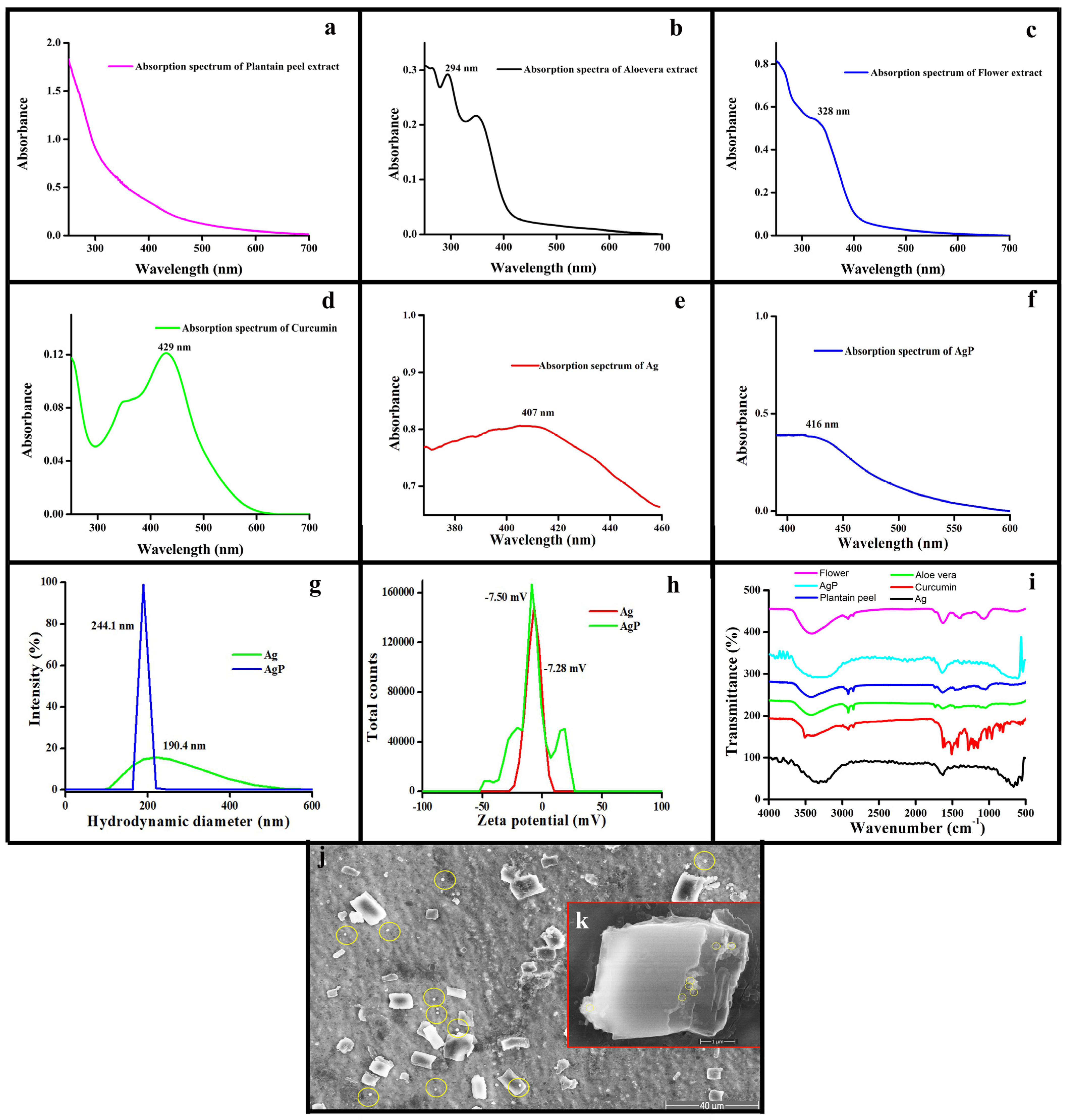 Molecules 29 05004 g001