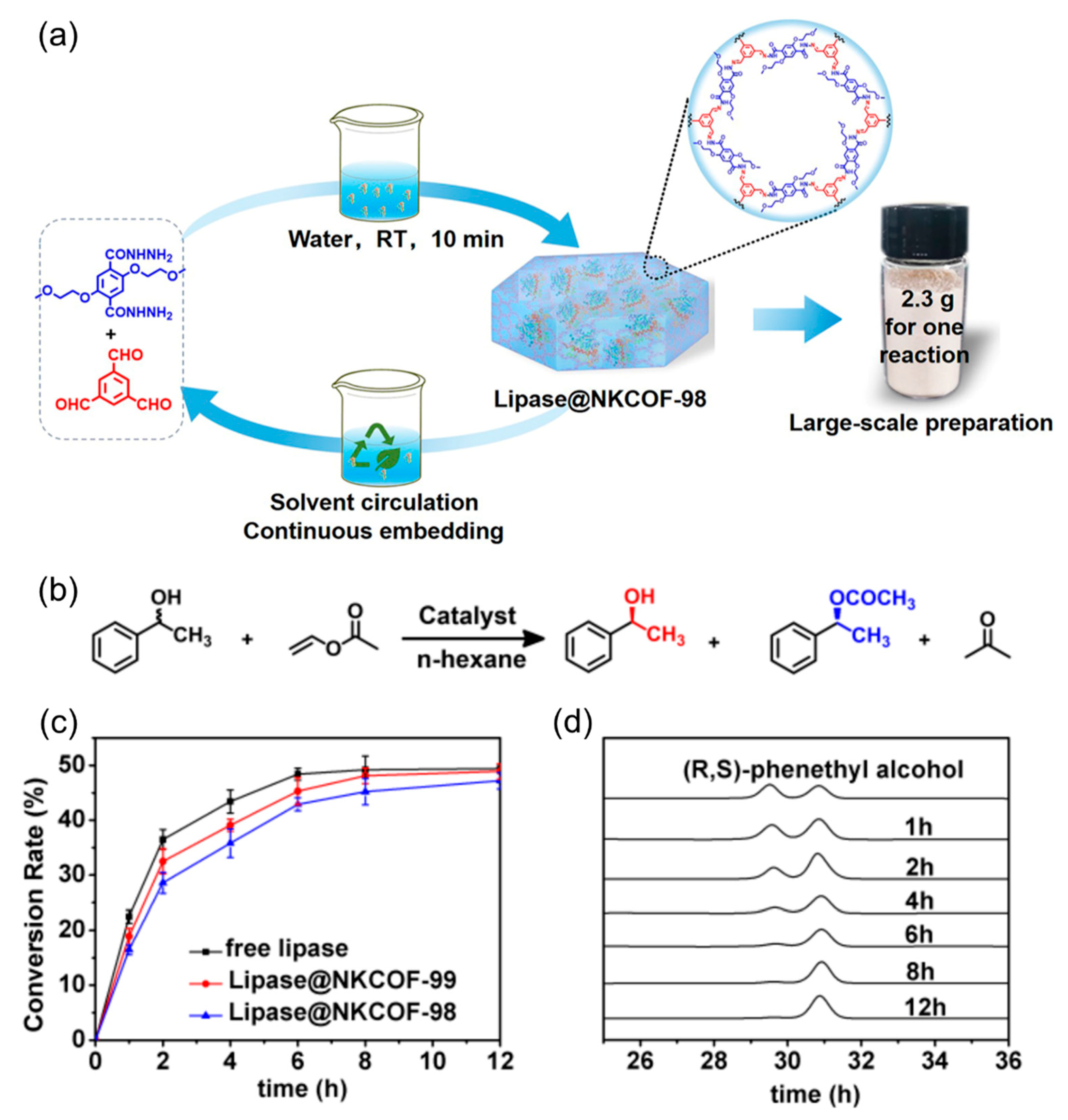 Molecules 29 05006 g007
