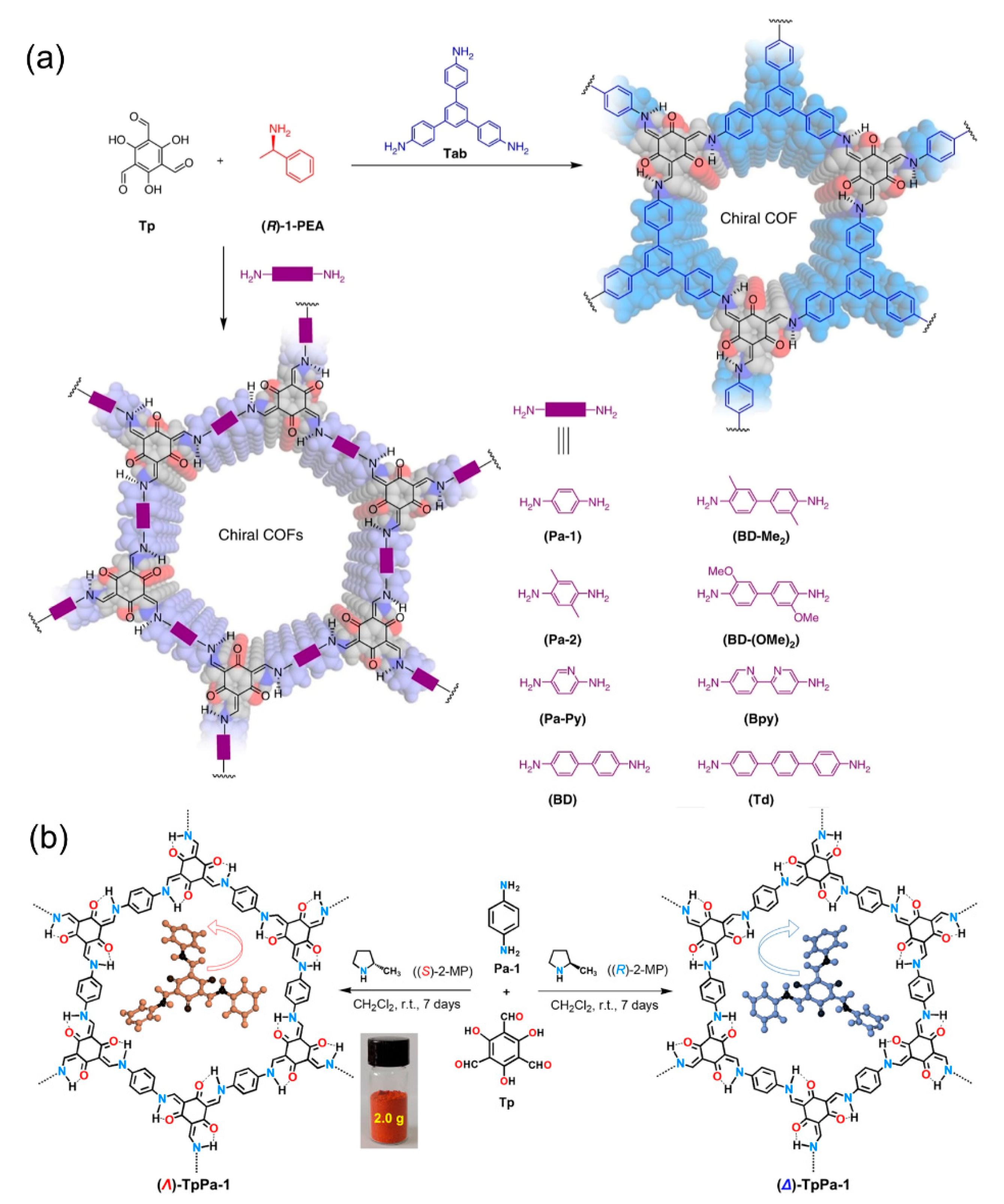 Molecules 29 05006 g008
