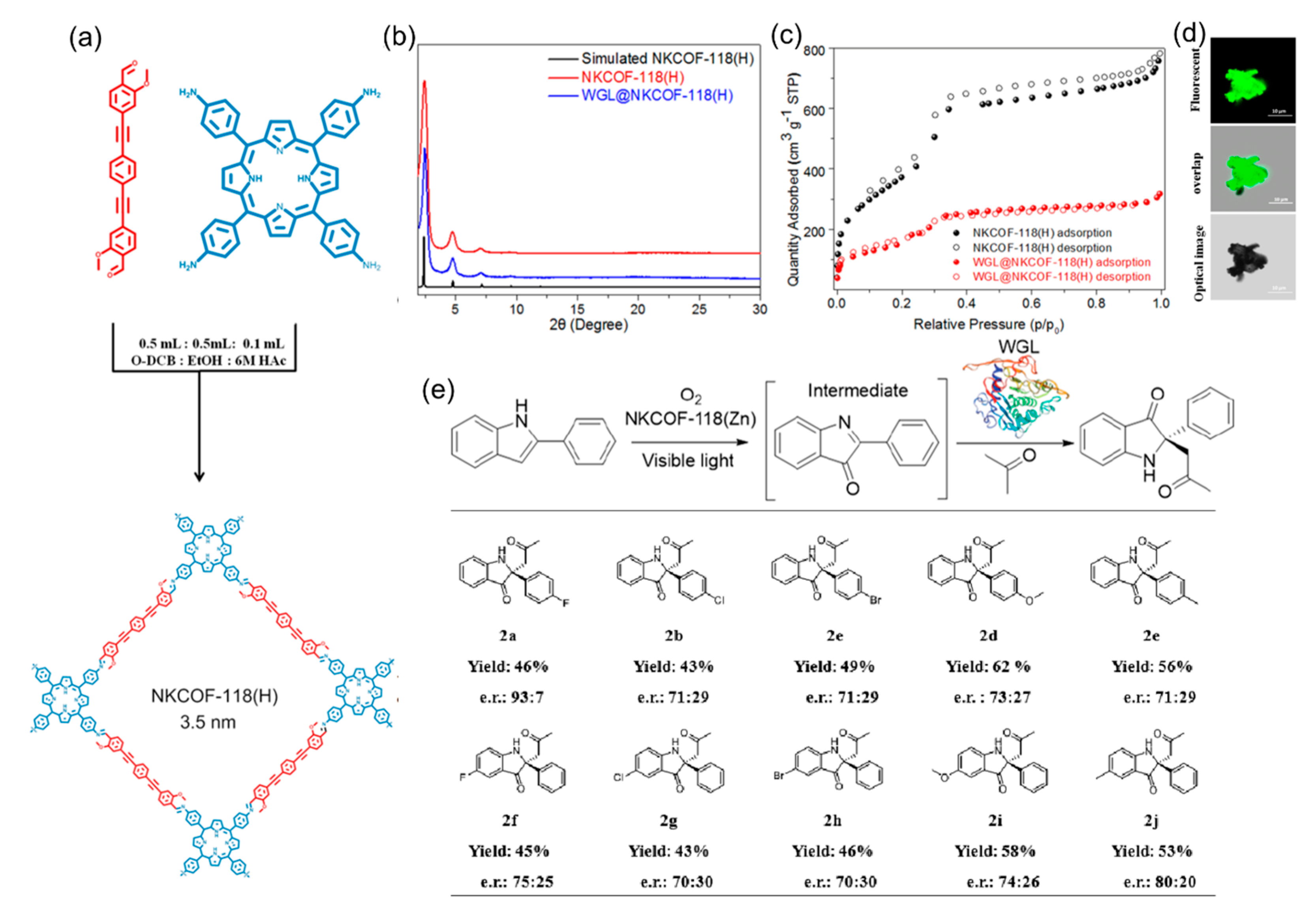 Molecules 29 05006 g013