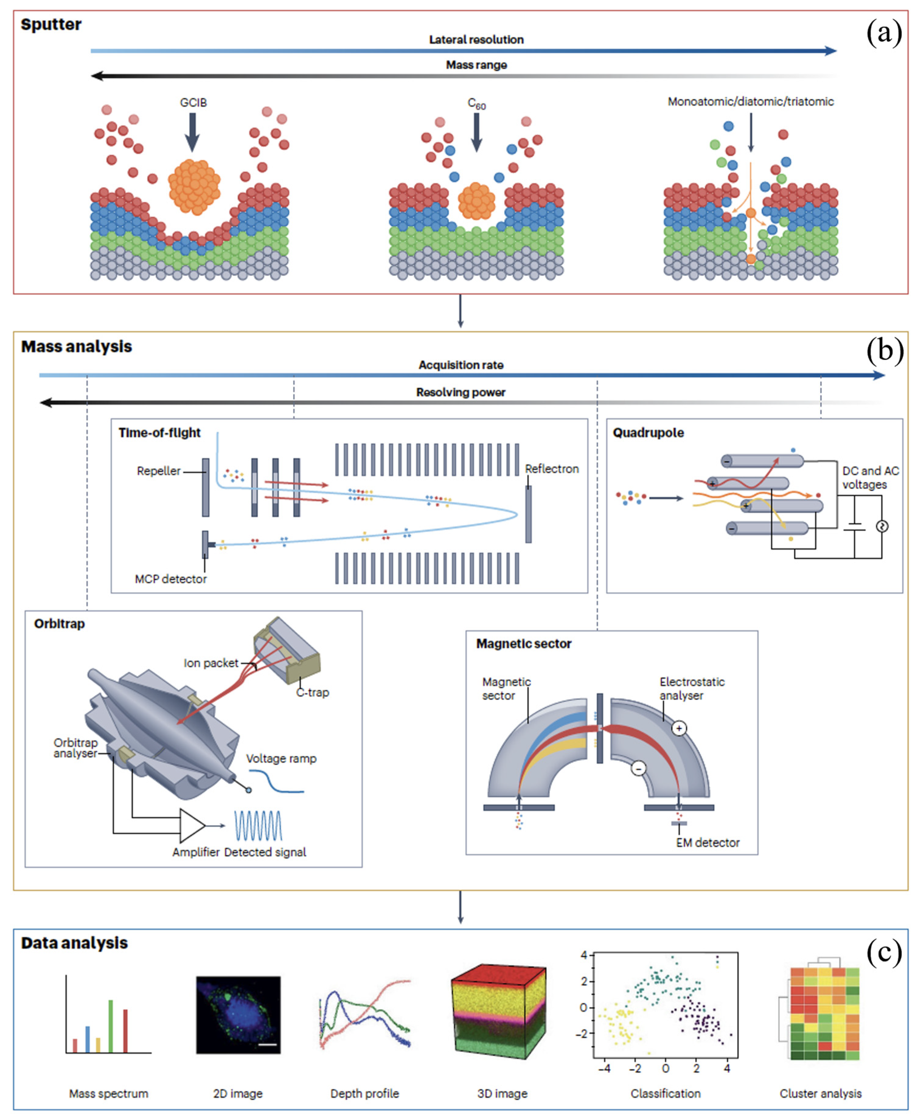 Molecules 29 05014 g004