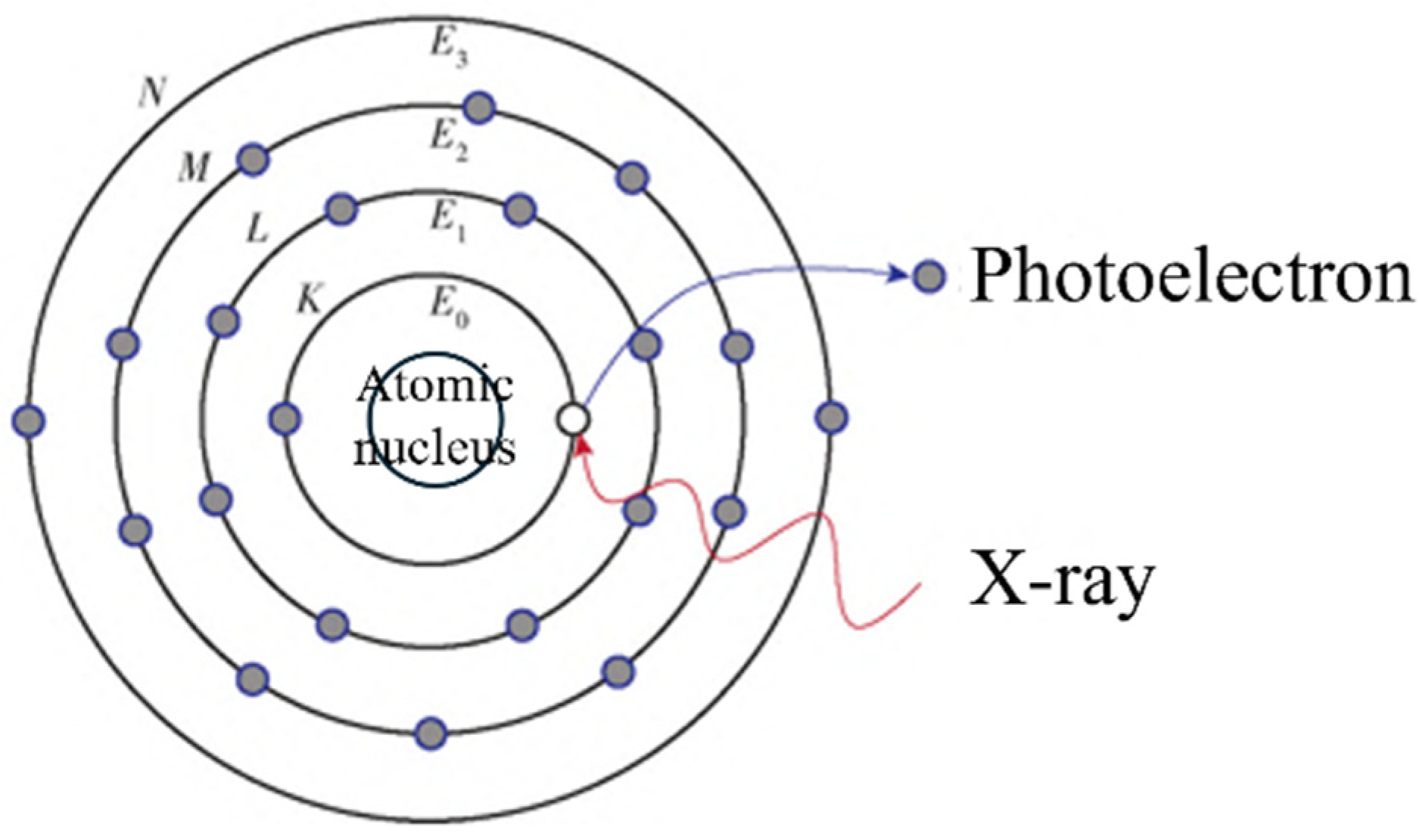 Molecules 29 05014 g013