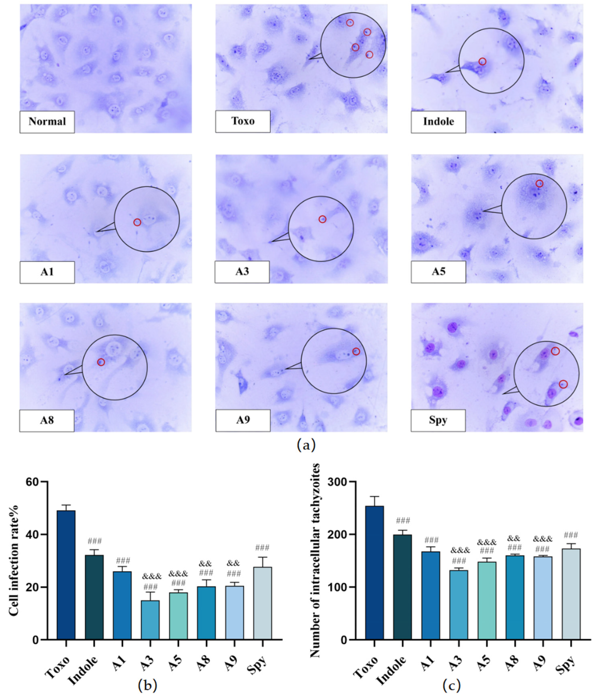 Molecules 29 05024 g002