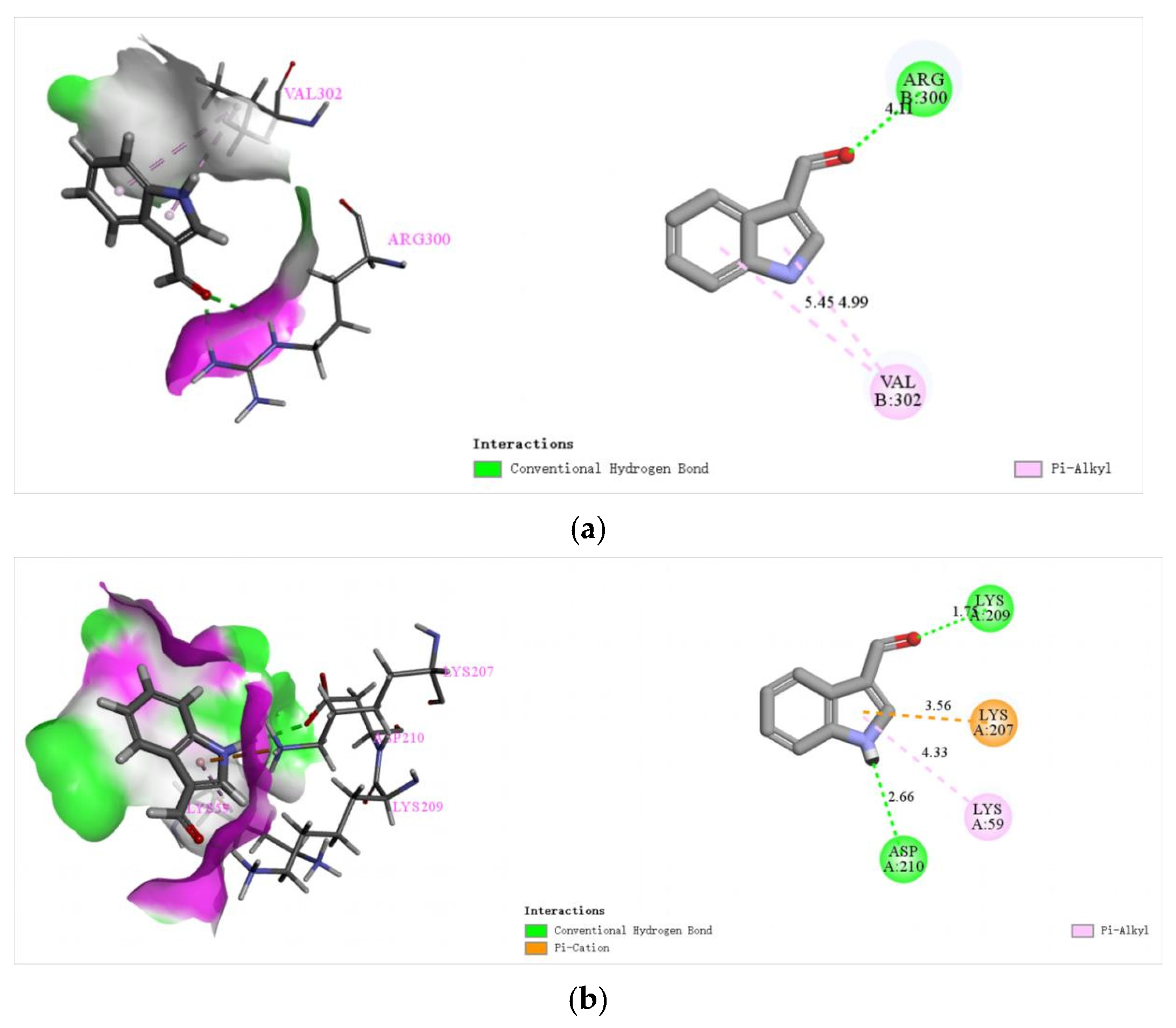 Molecules 29 05024 g008