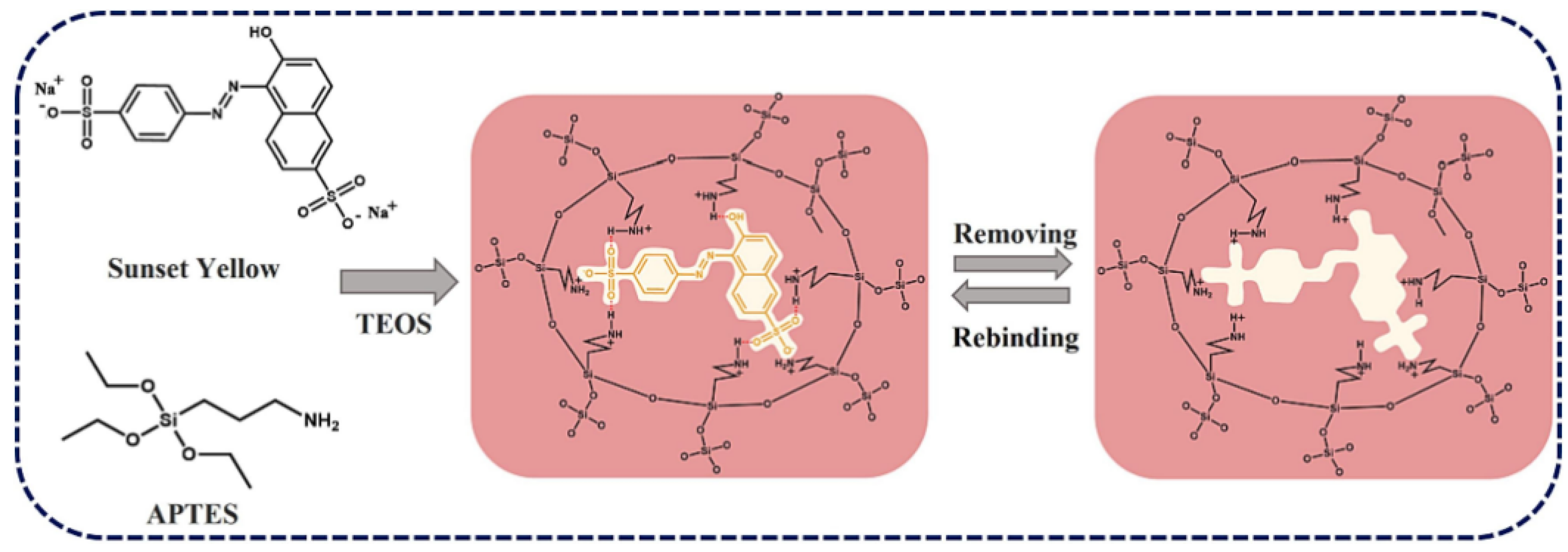 Molecules 29 05026 g004