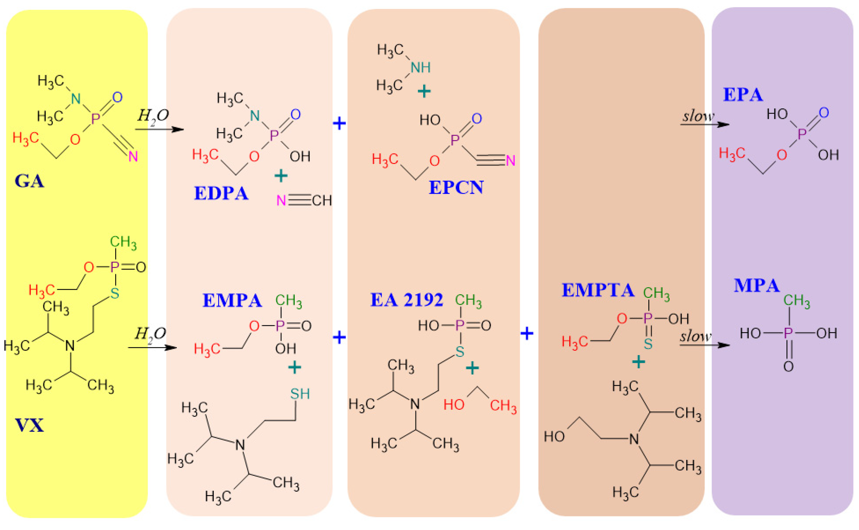 Molecules 29 05031 g001