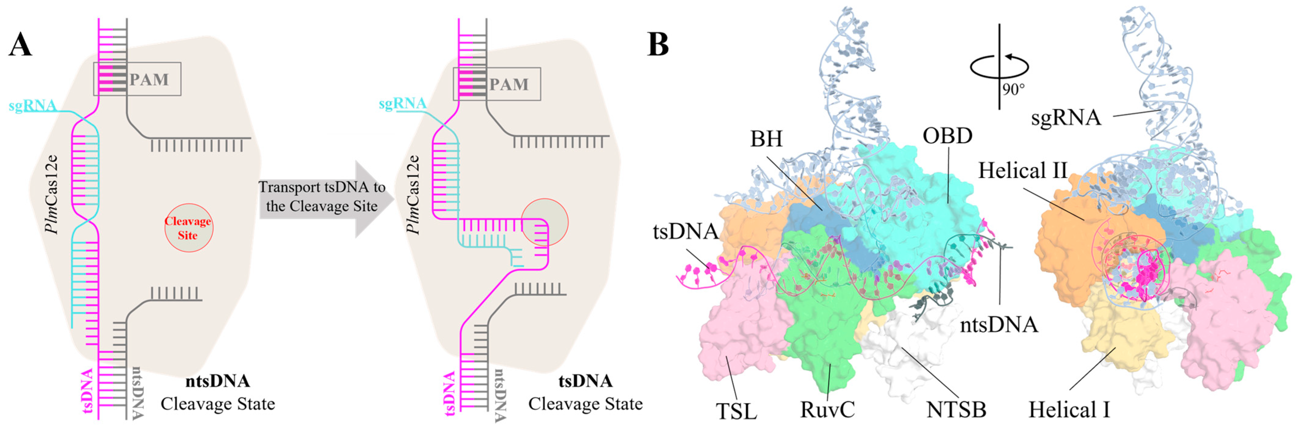 Molecules 29 05036 g001