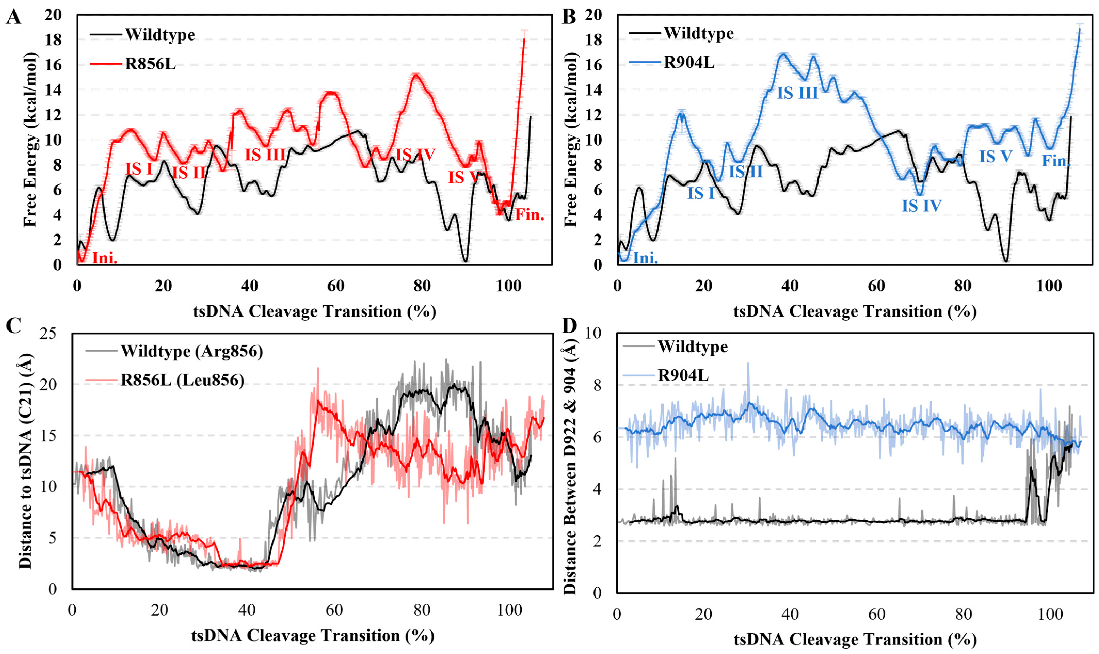 Molecules 29 05036 g004
