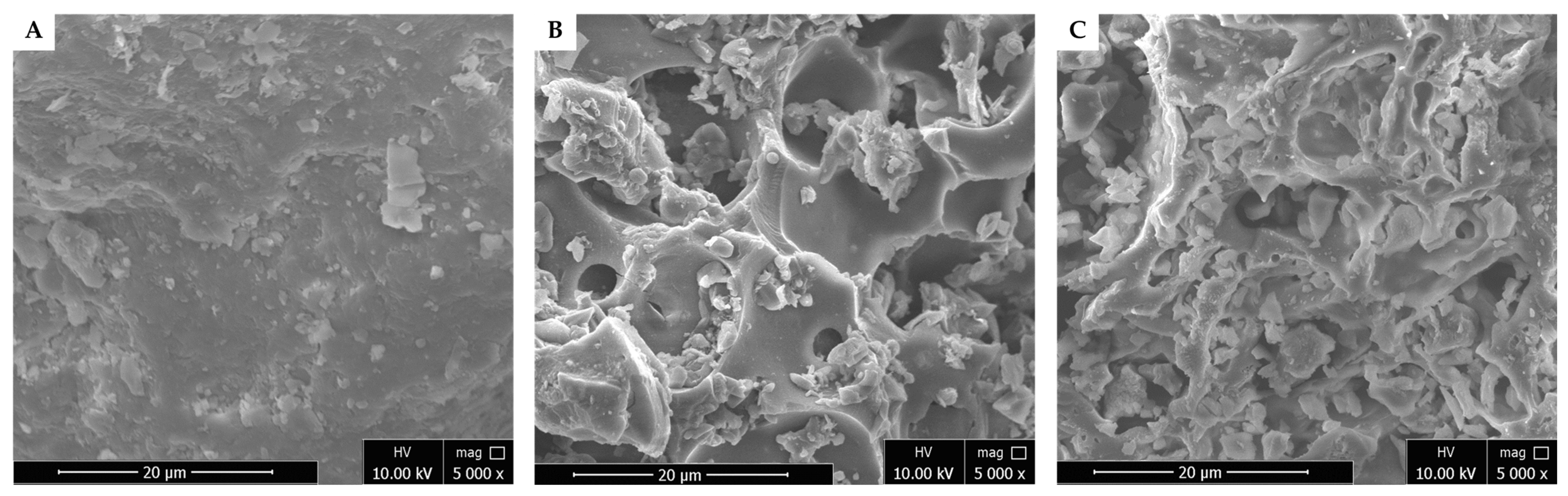 Molecules 29 05038 g001