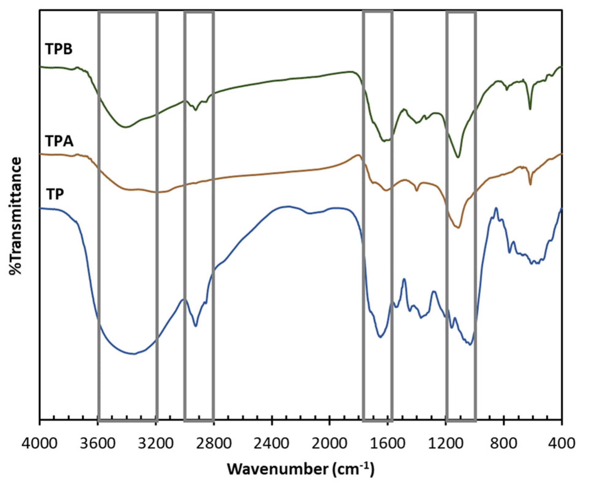 Molecules 29 05038 g003