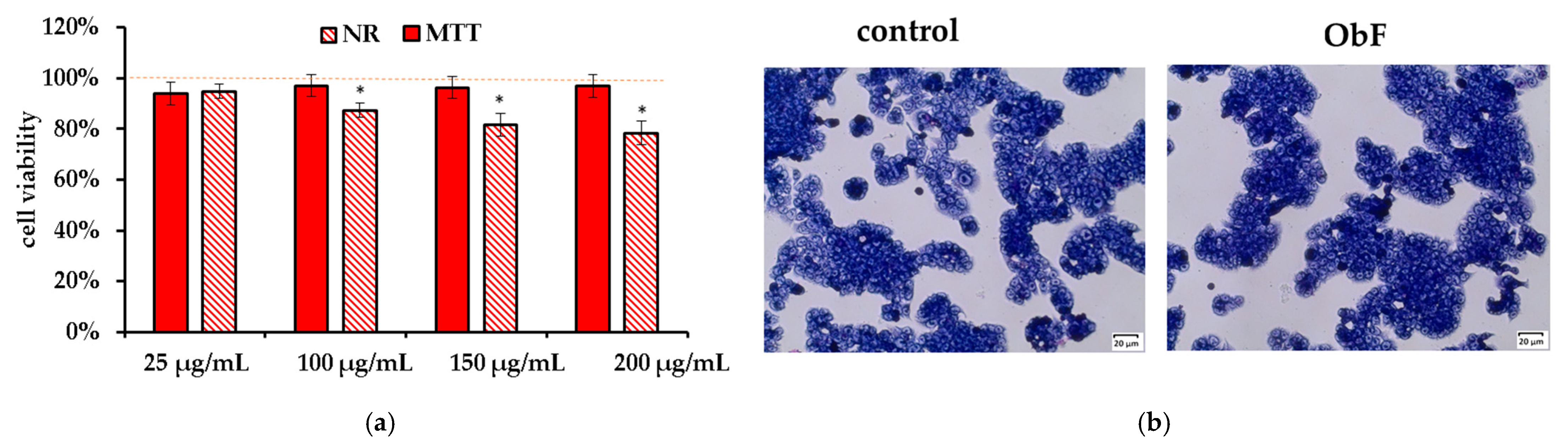 Molecules 29 05043 g004