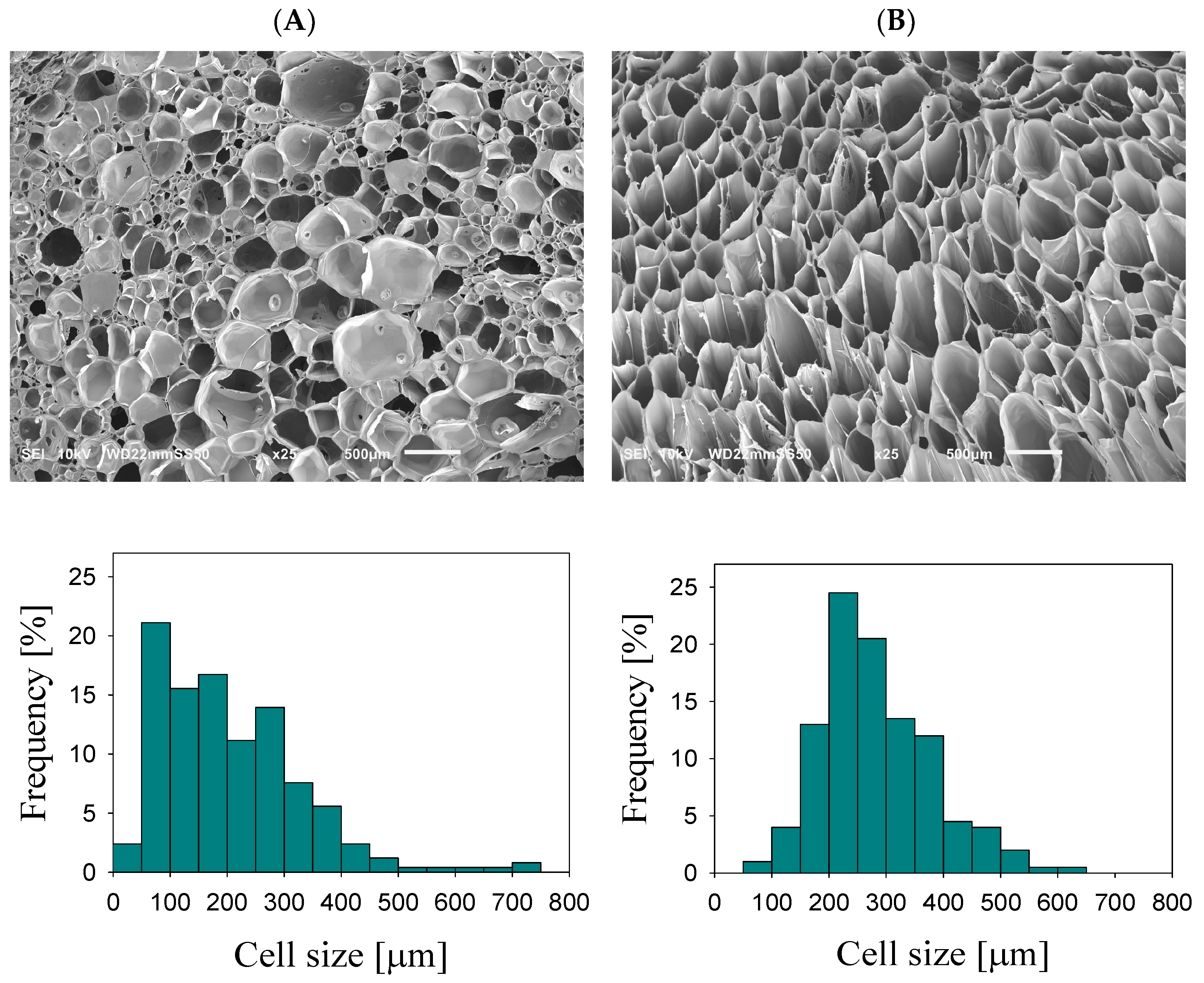 Molecules 29 05045 g001
