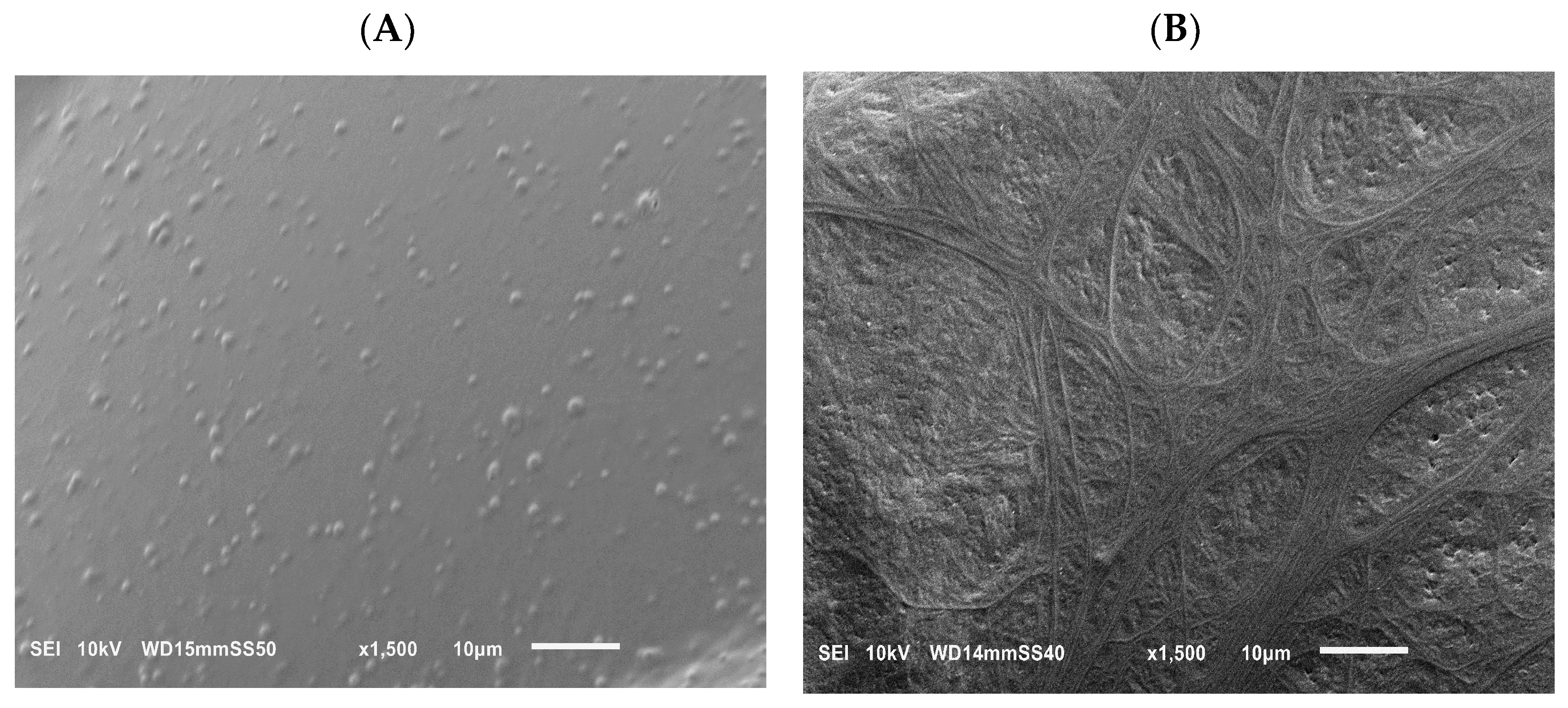 Molecules 29 05045 g002