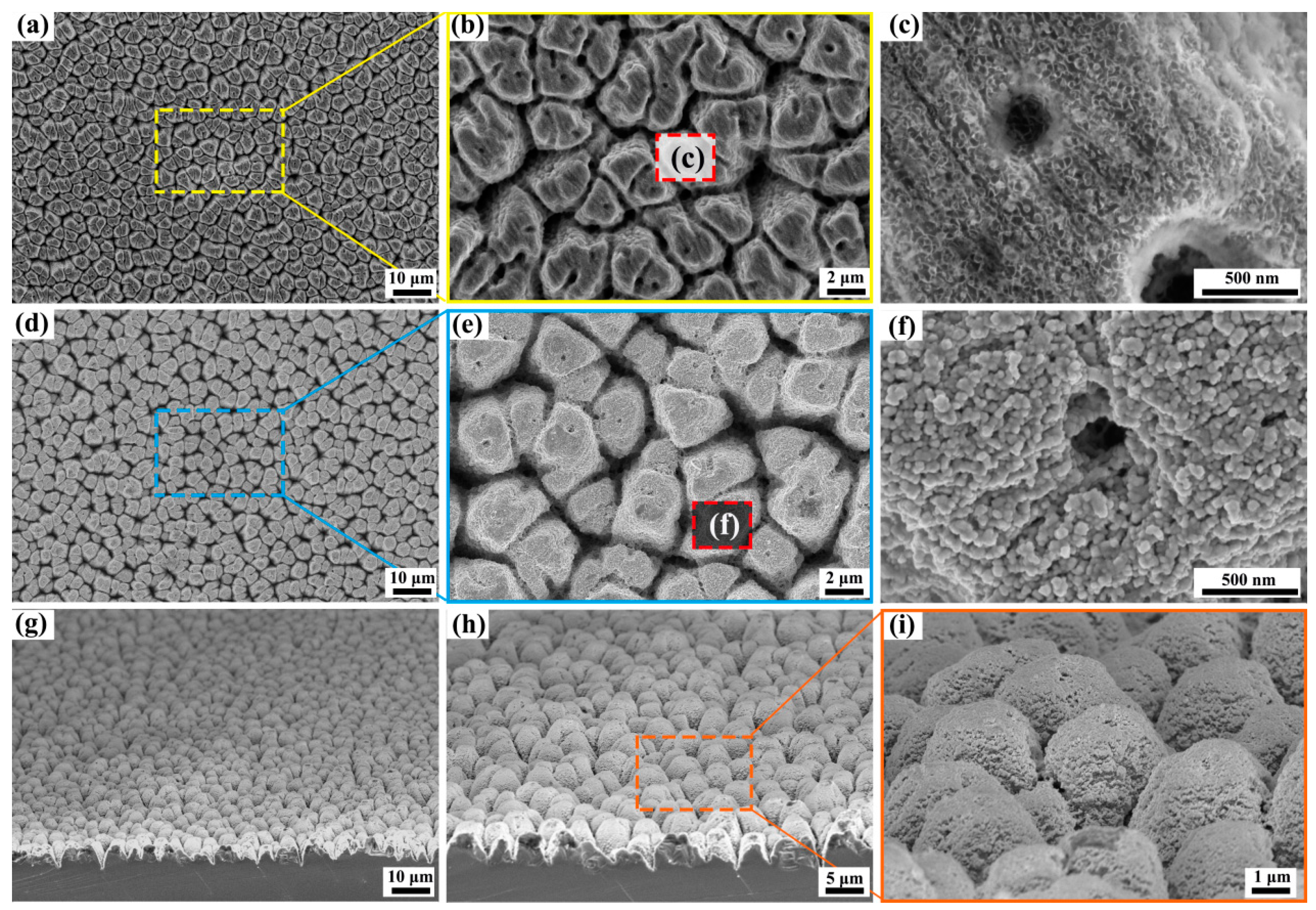 Molecules 29 05053 g001