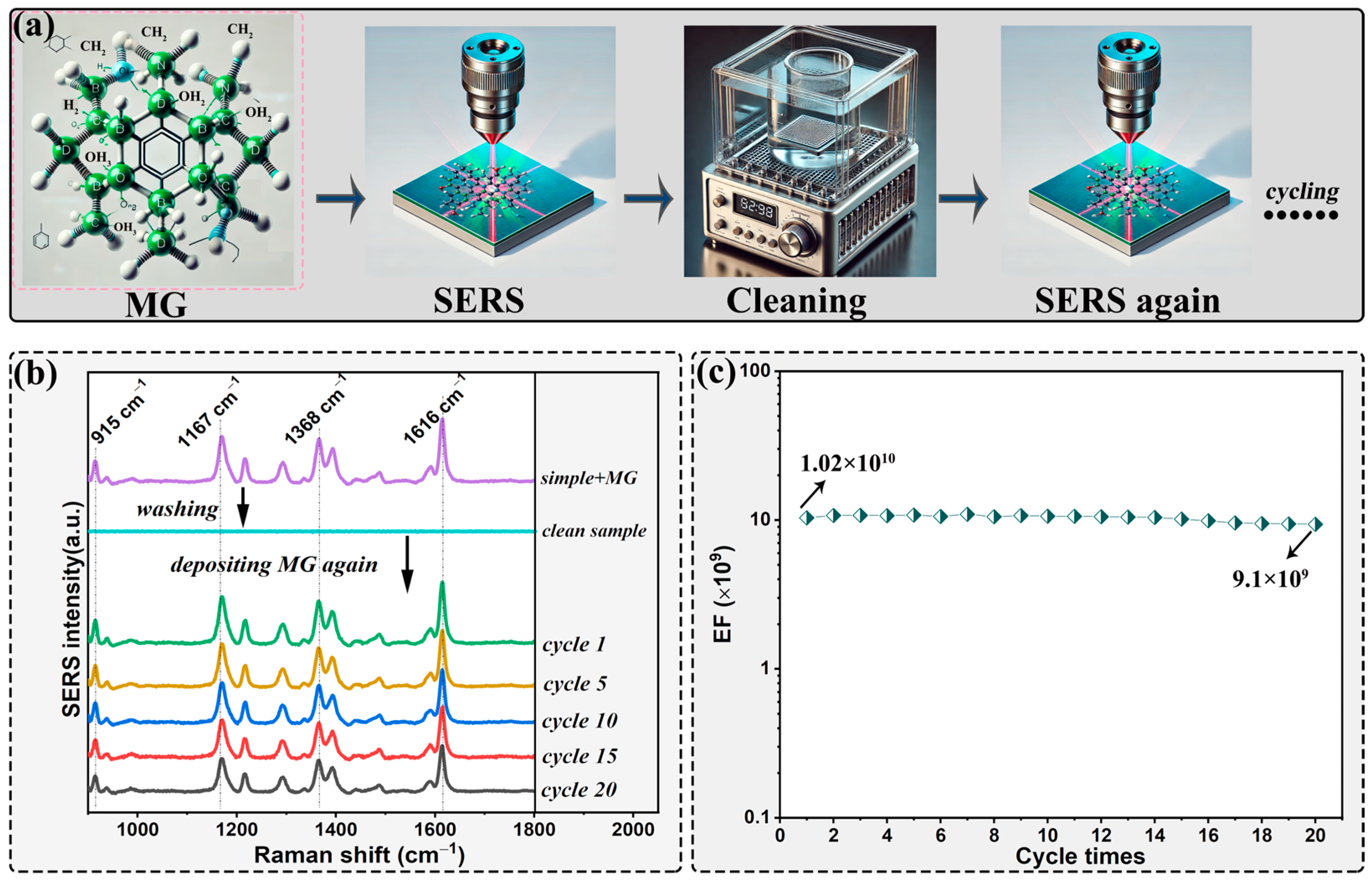 Molecules 29 05053 g004