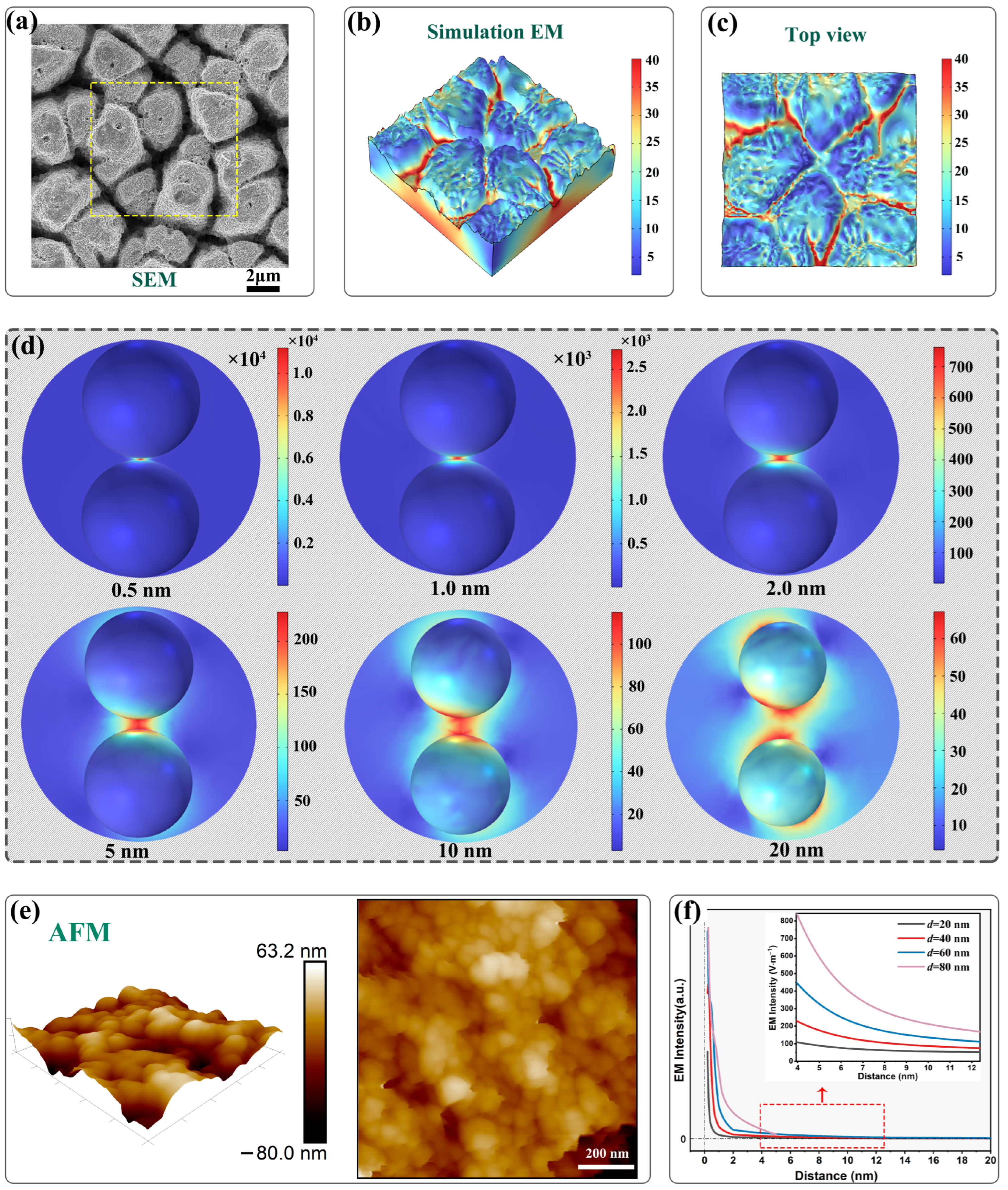 Molecules 29 05053 g005