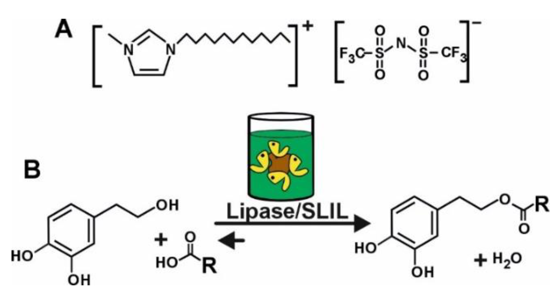 Molecules 29 05057 g001
