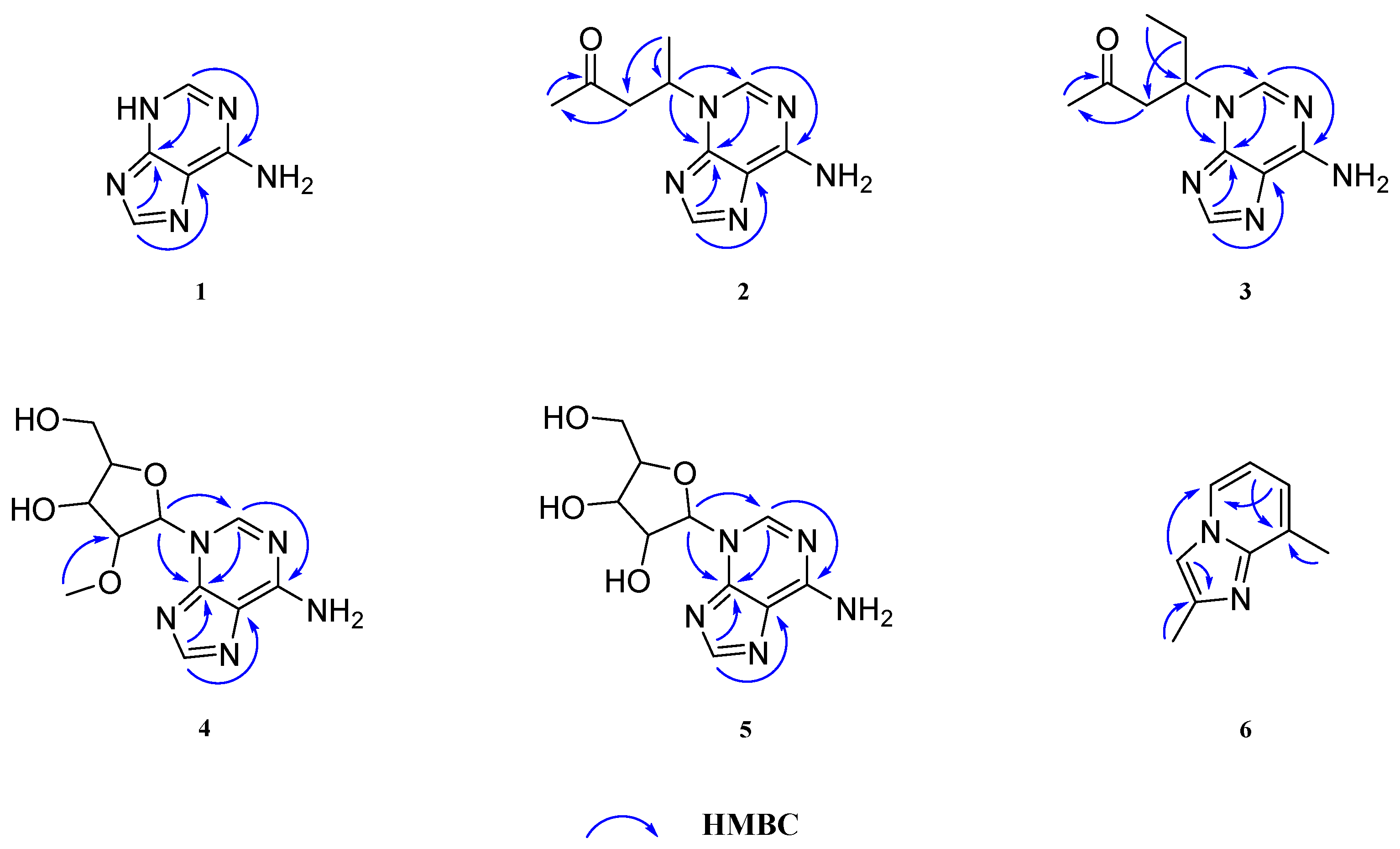 Molecules 29 05059 g002
