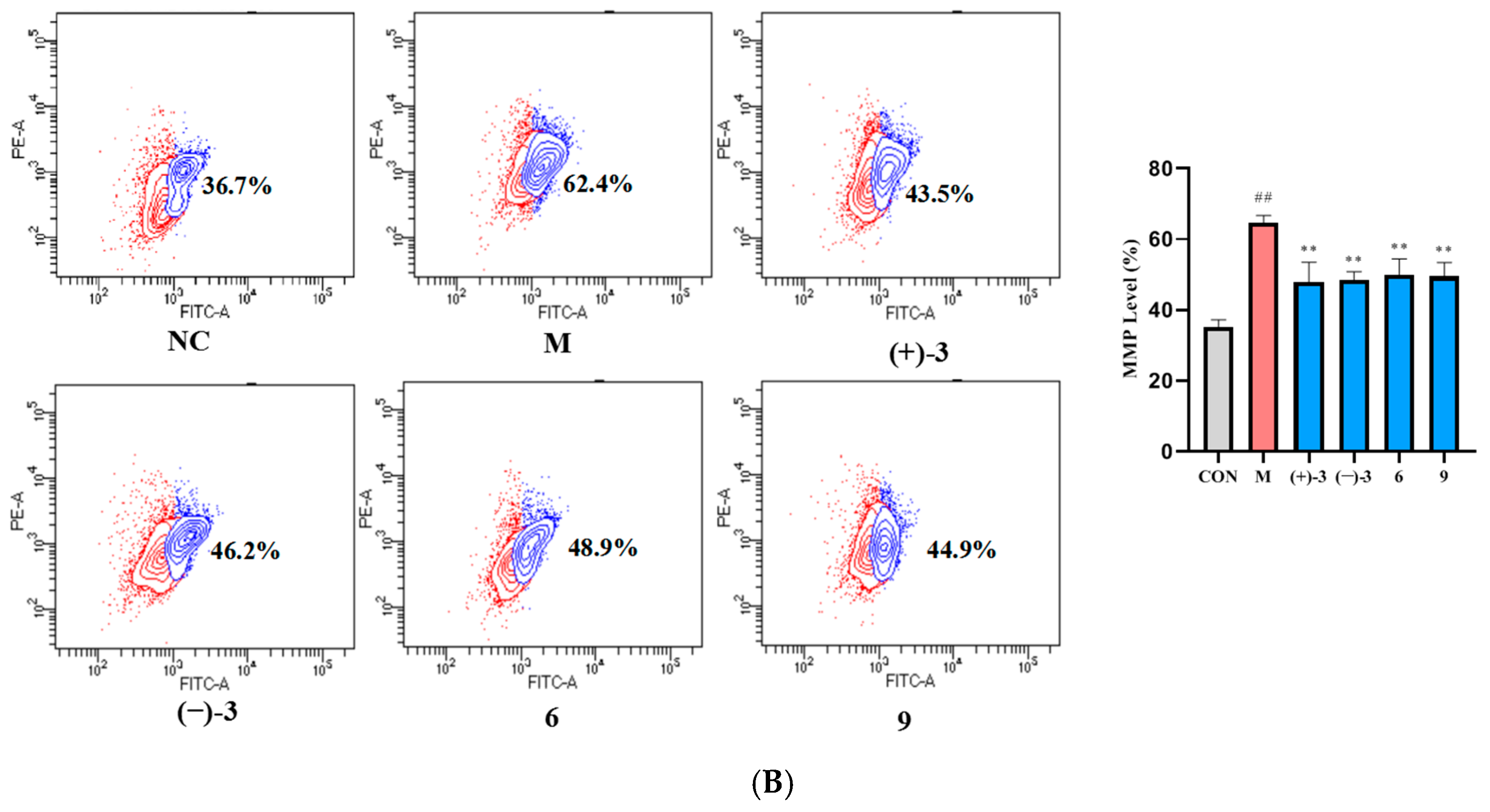 Molecules 29 05059 g006b