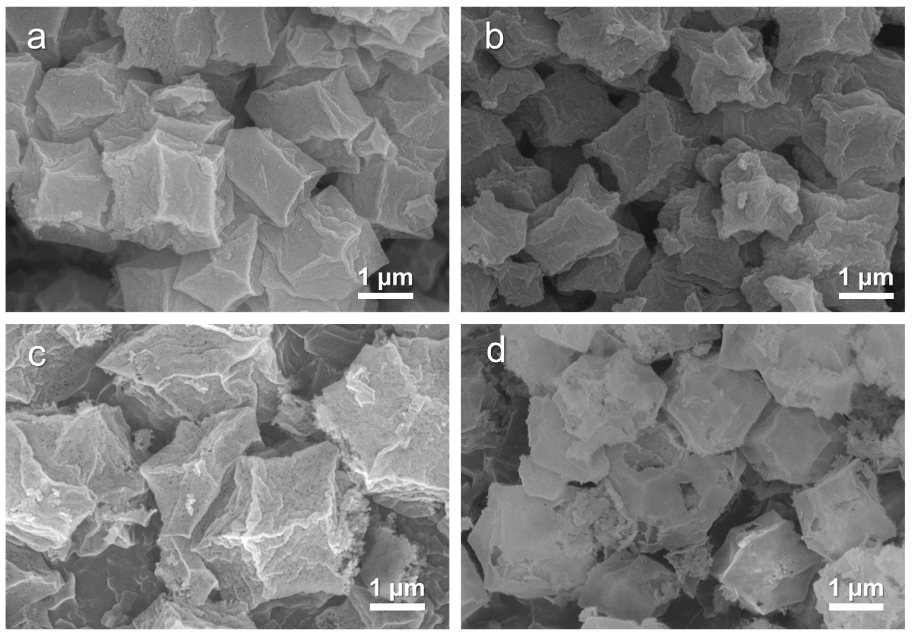 Molecules 29 05061 g004