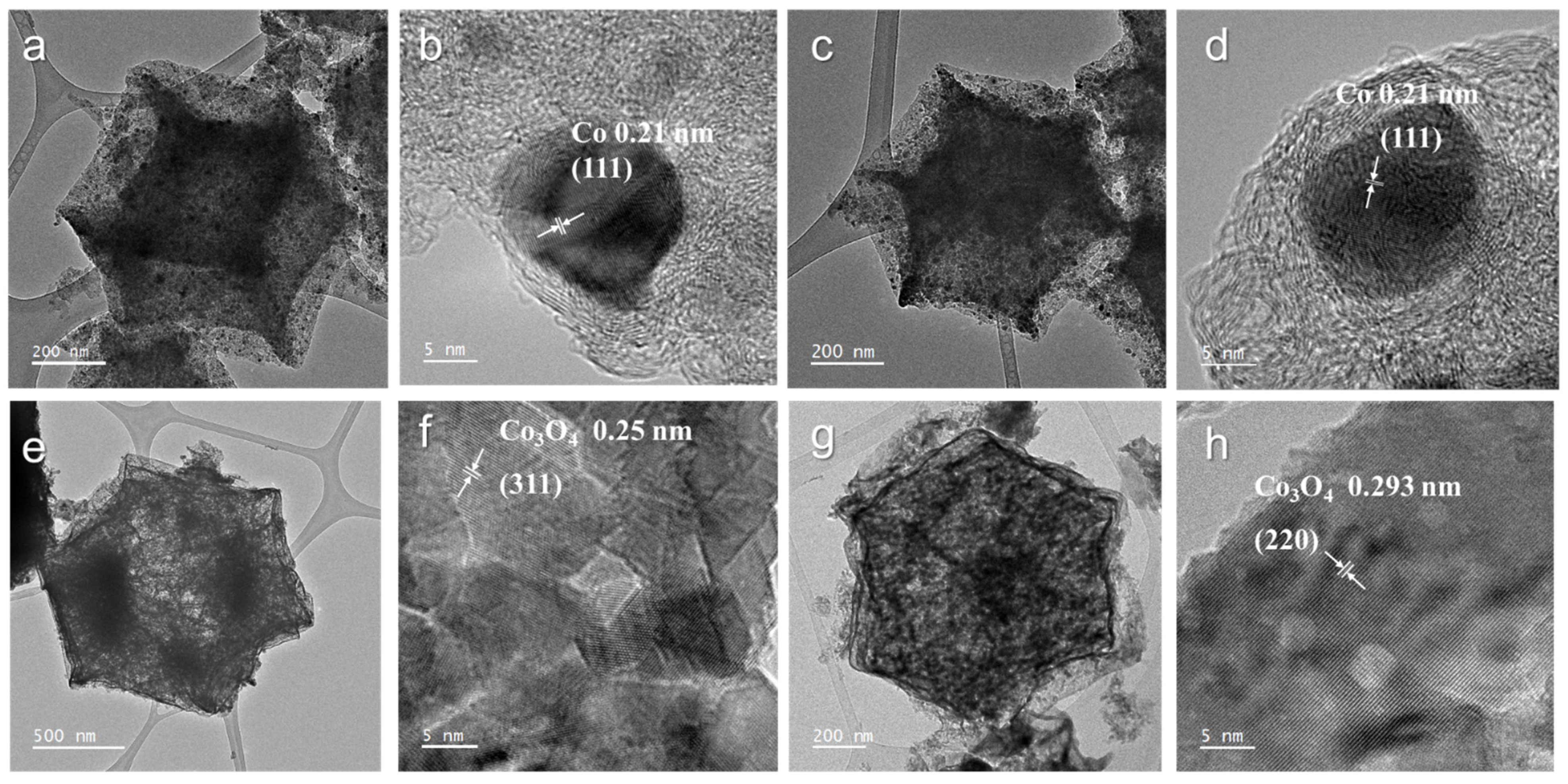 Molecules 29 05061 g005