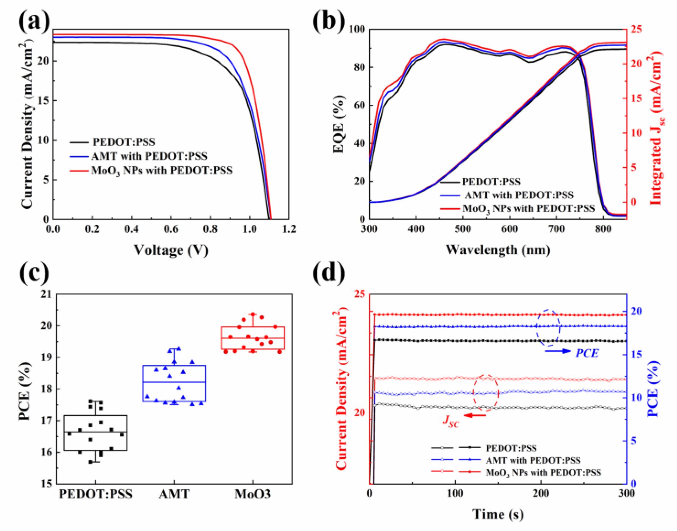 Molecules 29 05064 g003