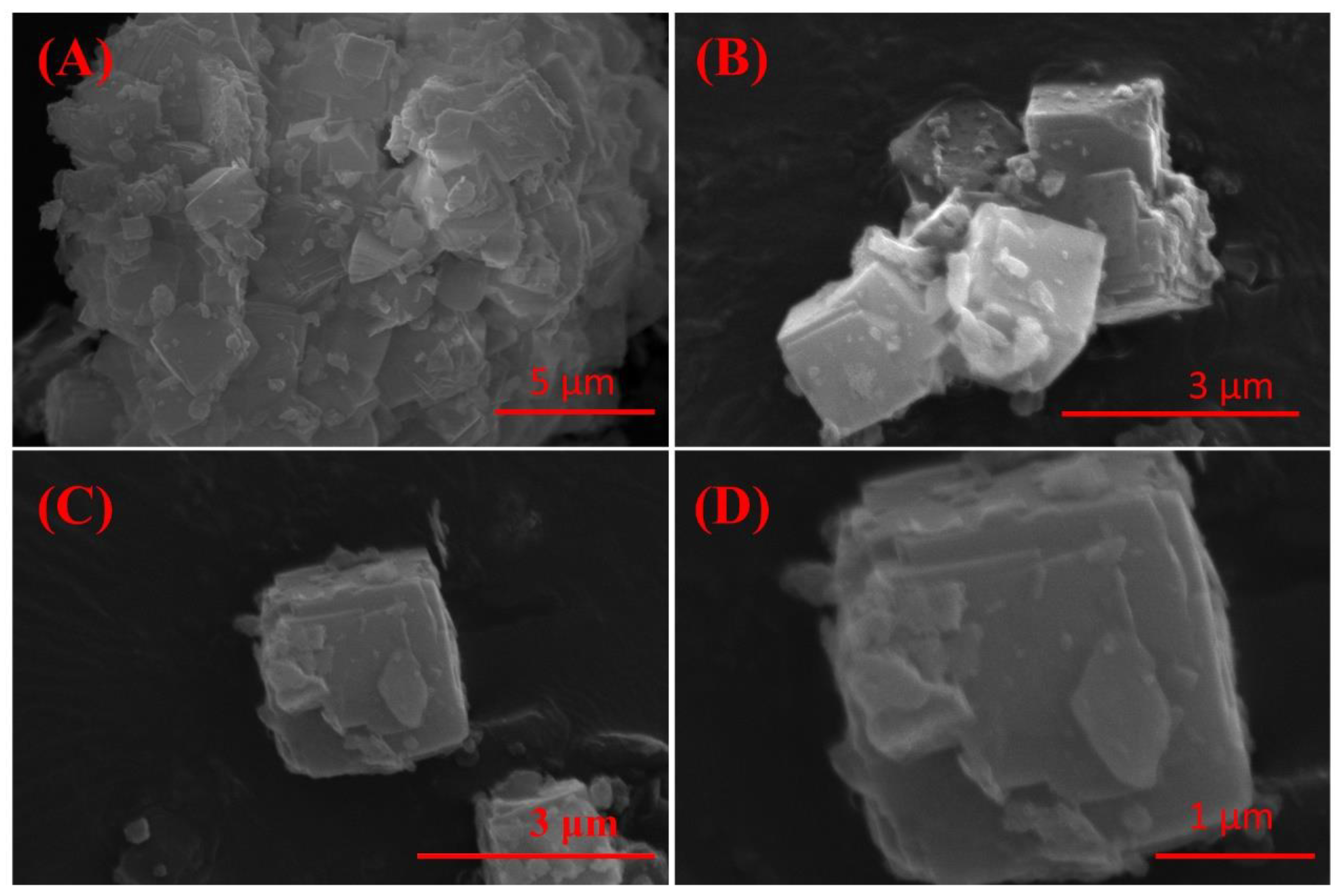 Molecules 29 05065 g005