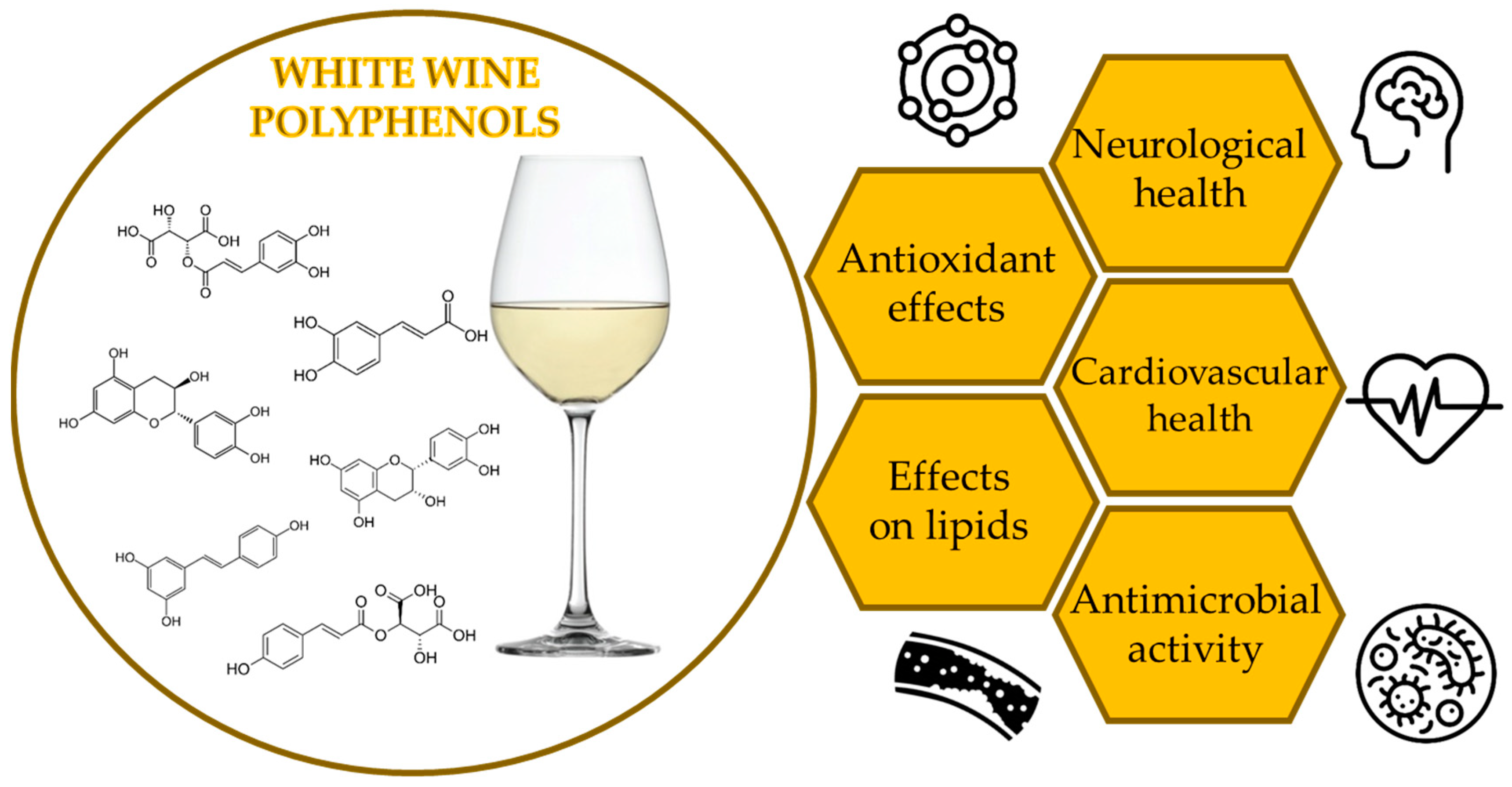 Molecules 29 05074 g001