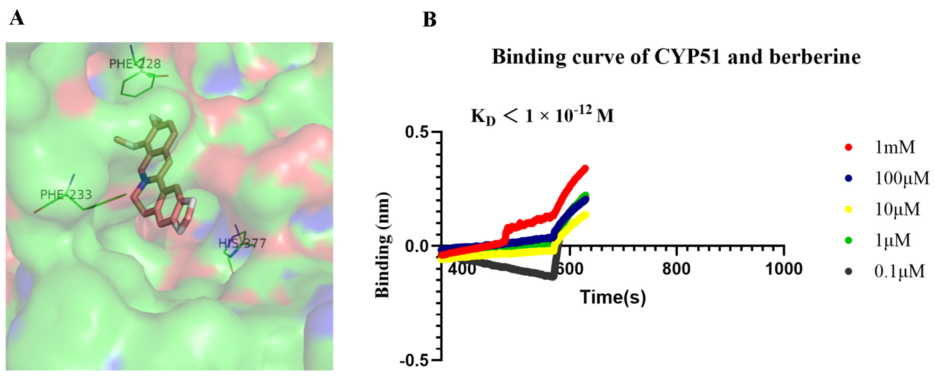 Molecules 29 05079 g006